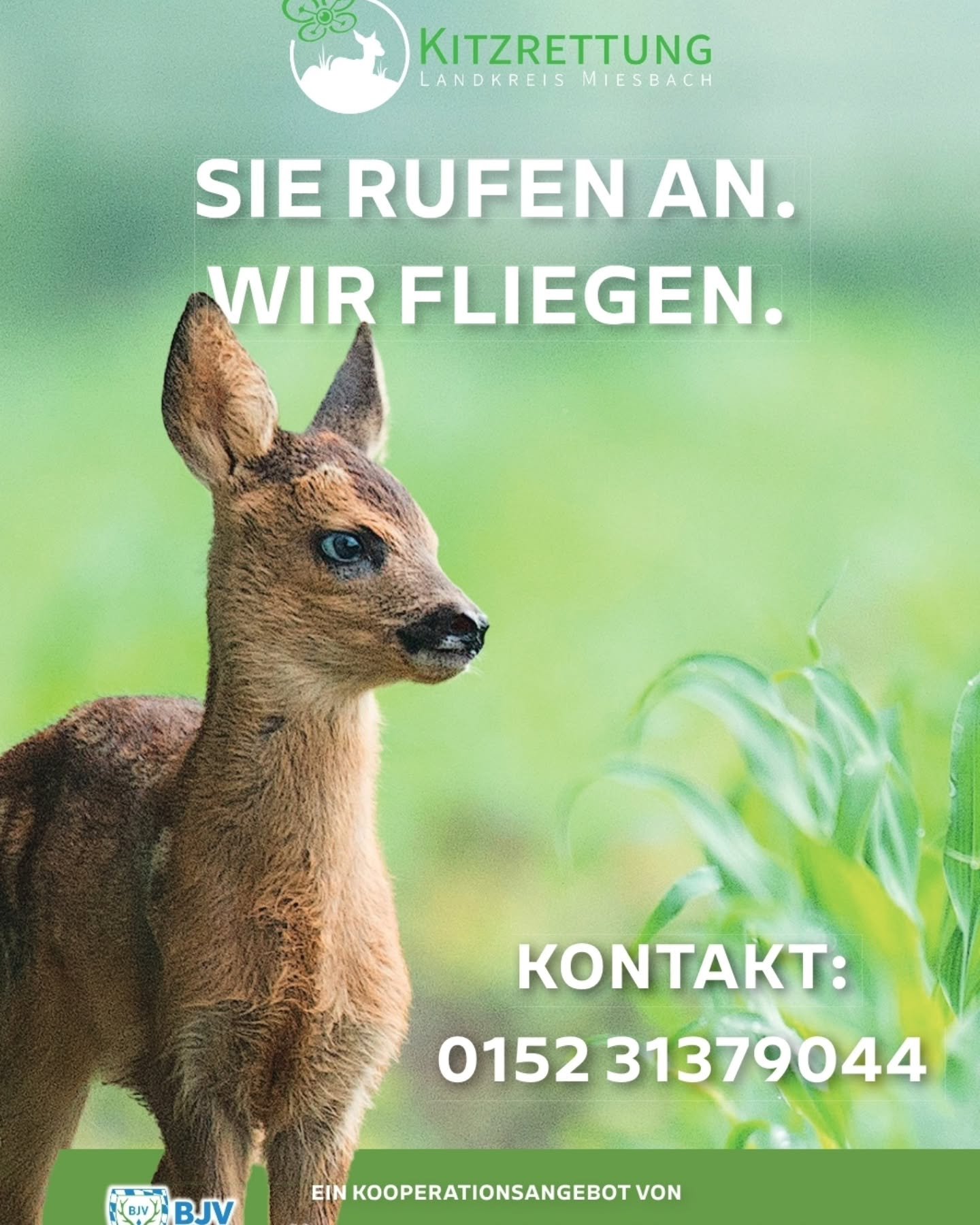 🌿🌿 Unsere Kitzrettung ist auch dieses Jahr wieder Einsatzbereit 🌿🌿

Ihr wollt m&auml;hen 🚜🚜🚜🚜?
Dann ruft uns unter 015231379044 an 🦌🦌

Weiter Infos unter:
https://www.bjv-miesbach.de/kitzrettung

#bjvmiesbach
#bjv 
#kitzrettung 
#landkreism