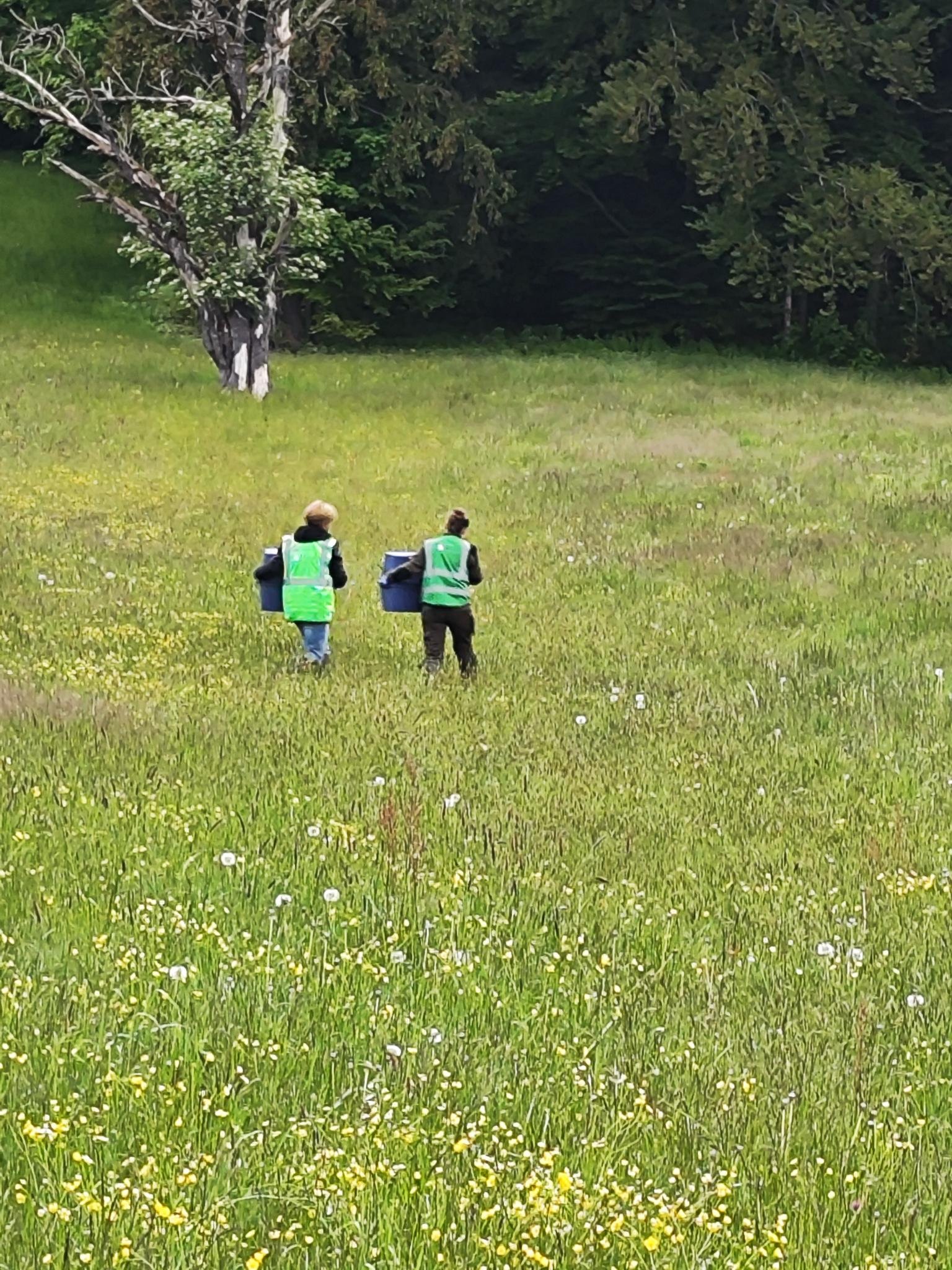 IMG_20260521_062541.jpg