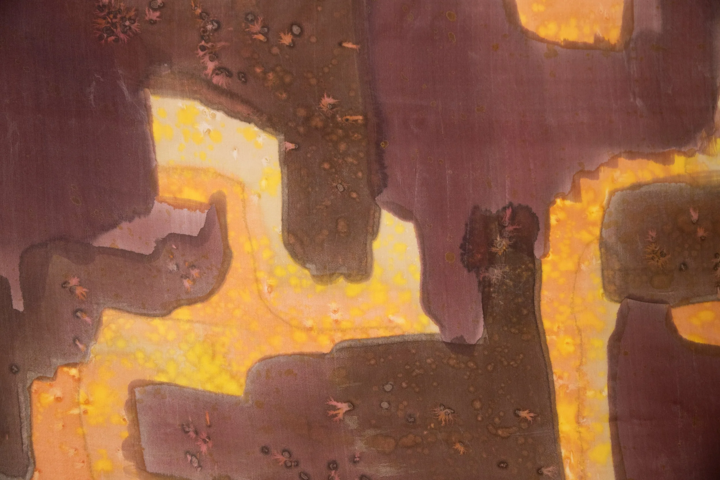 2023Z754-BrownLabyrinth-002.jpg