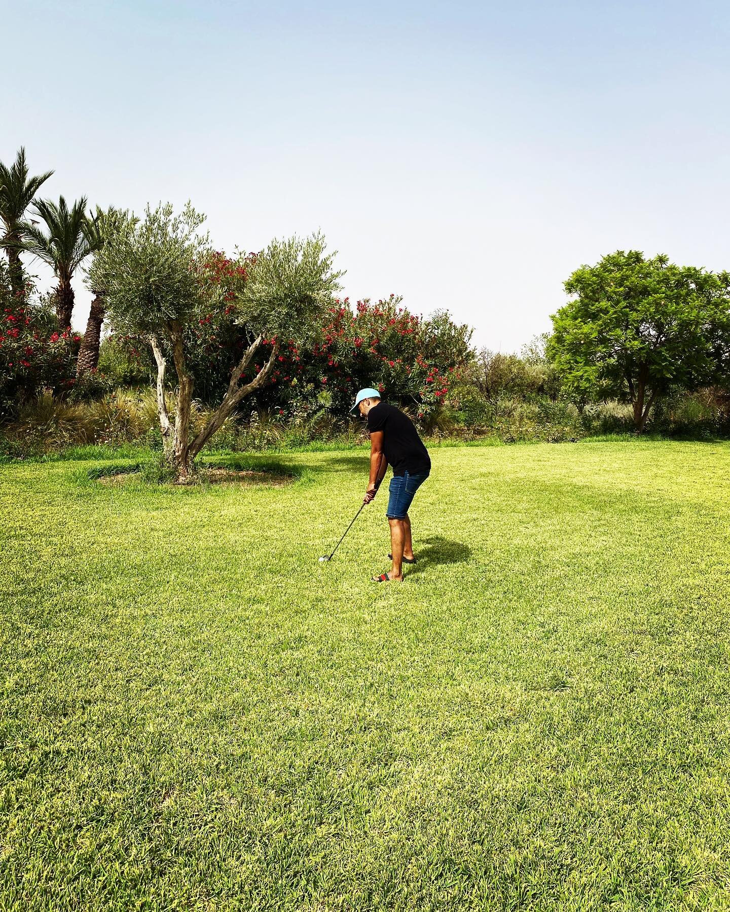 Quand le jardin se transforme en parcours de golf #dar_noujoum_marrakech #marrakech #morocco #guesthouses #holidays #golfmarrakech #golf