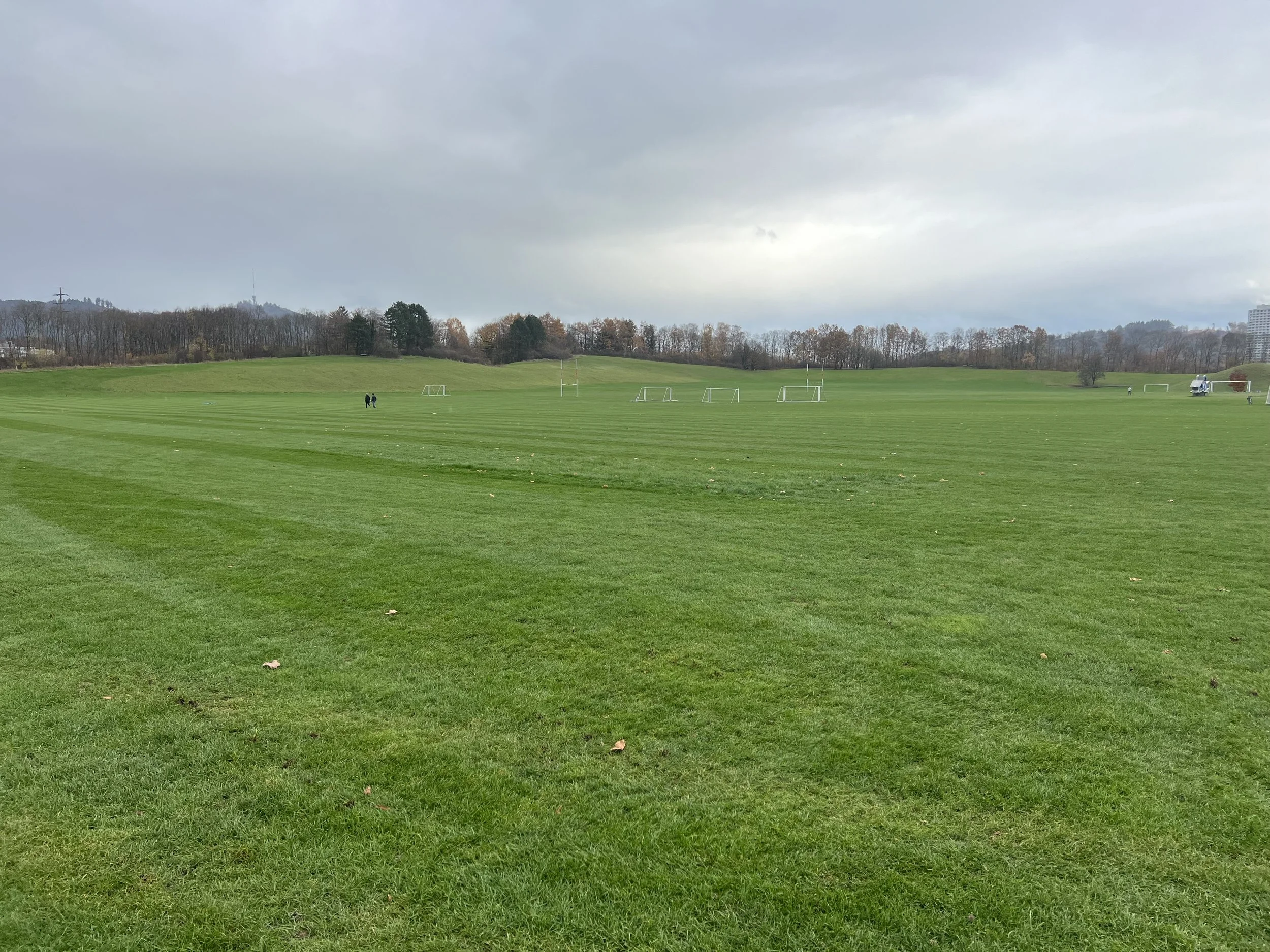 Testplanung Neuordnung Allmenden Bern