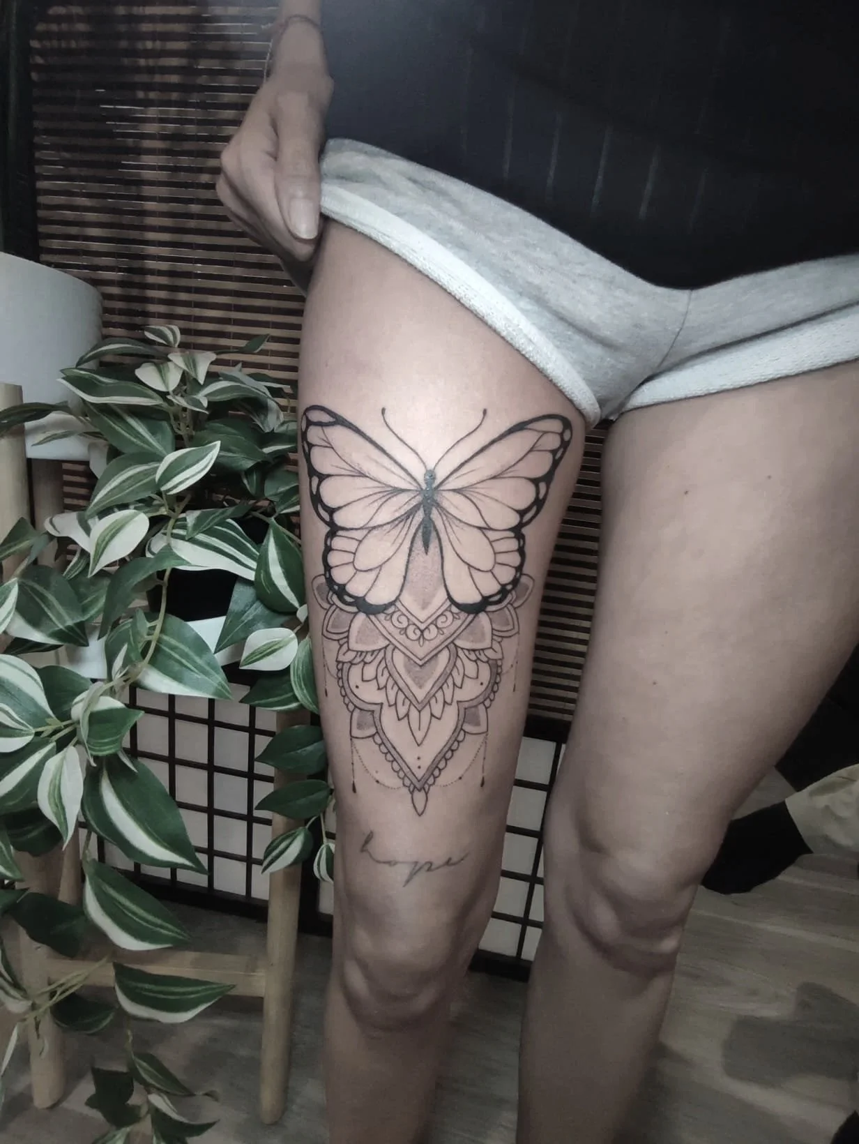 Kerstin Black rabbit butterfly.jpg