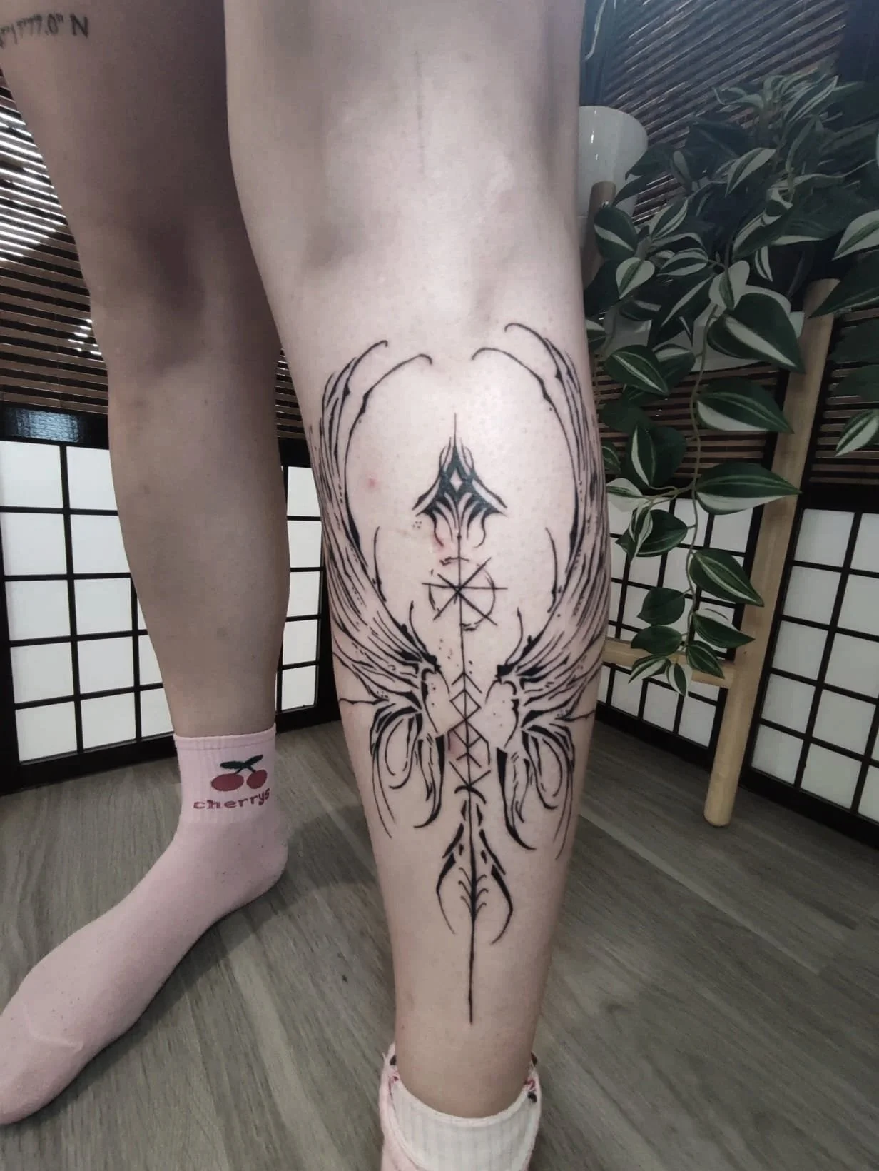 Kerstin Black rabbit wings.jpg