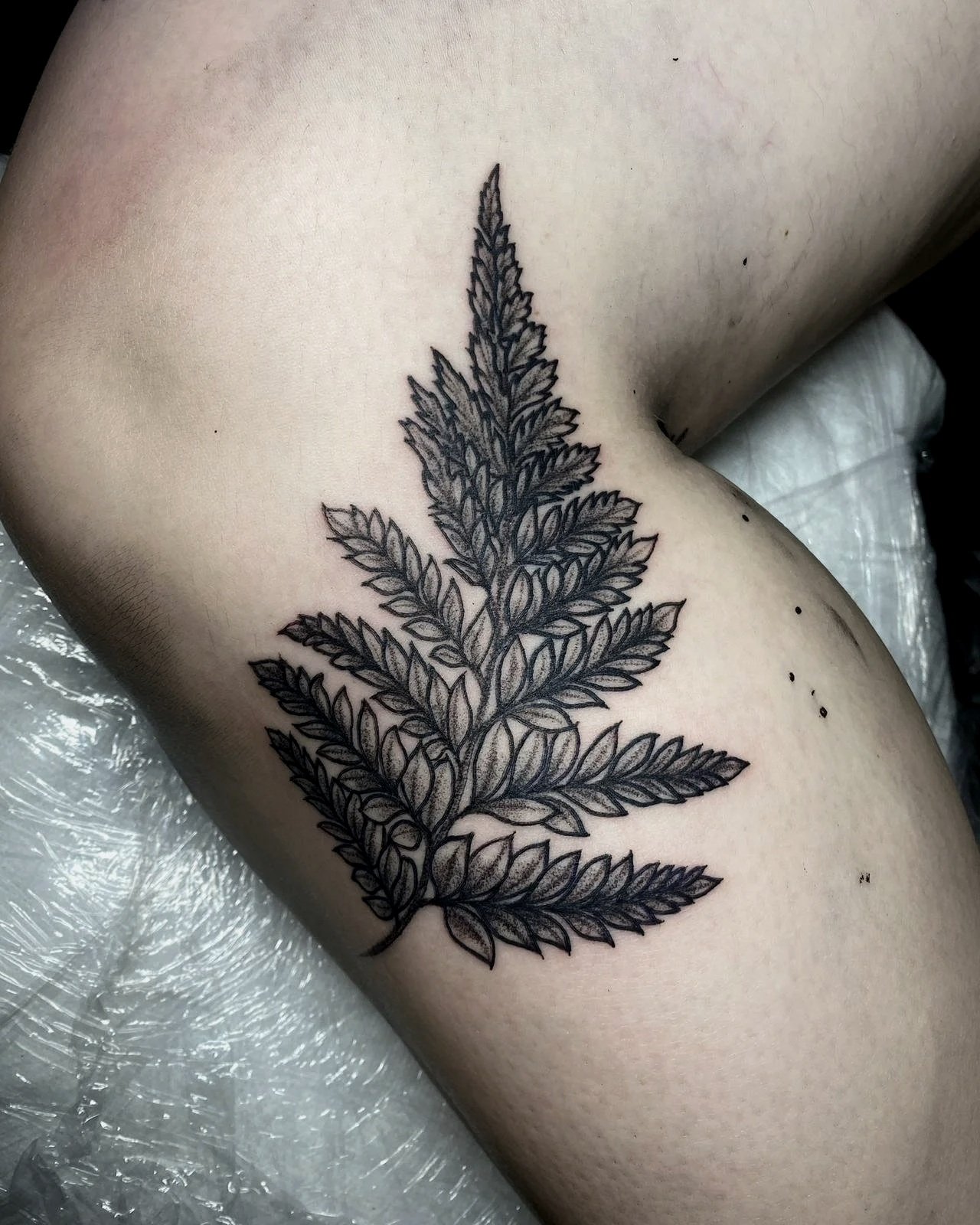 Kati Black rabbit leaf.jpg