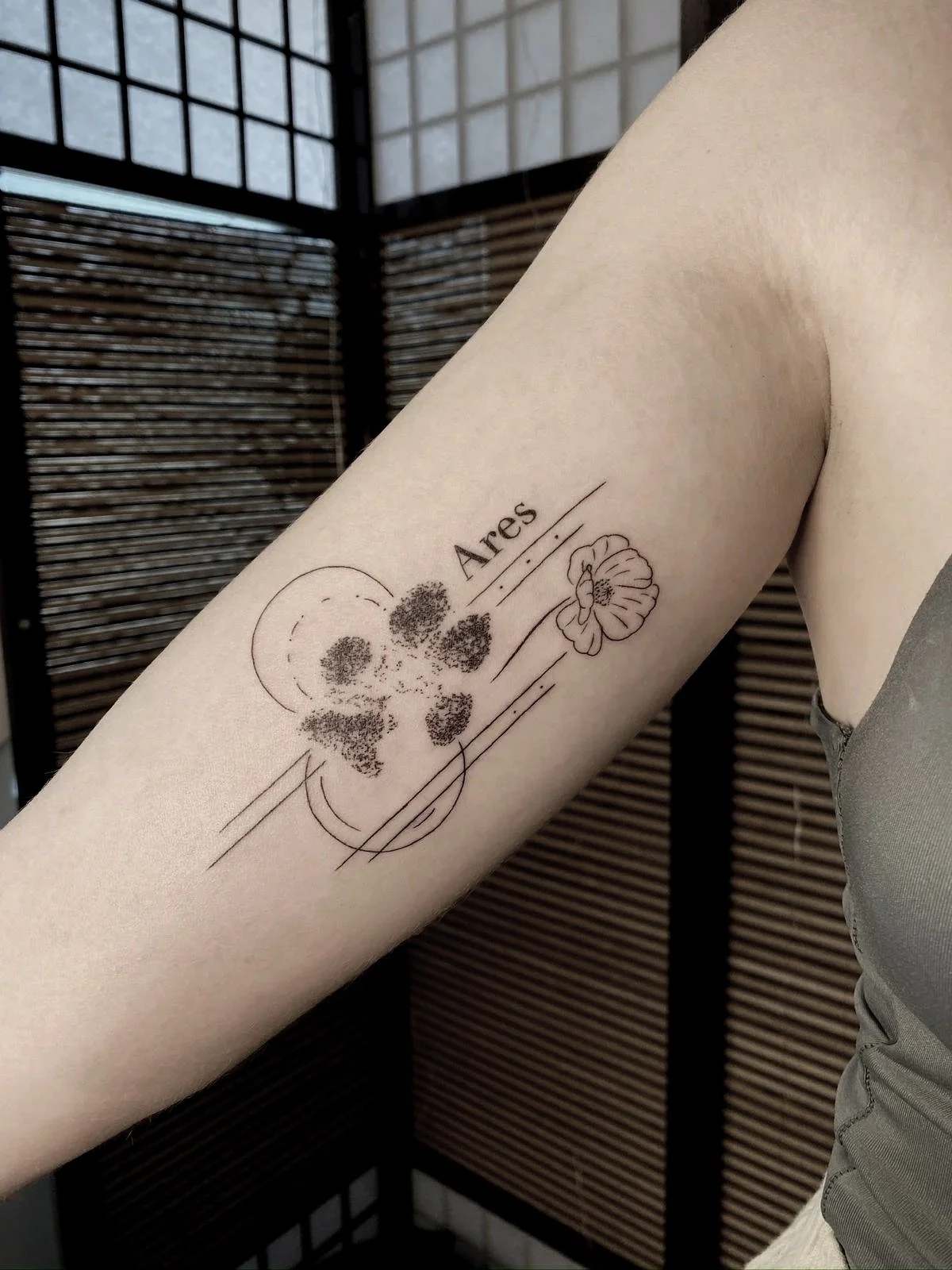 Kati Black rabbit Ares.jpg