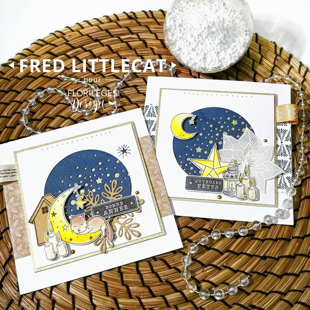 Fred Littlecat 2 cartes_.jpg