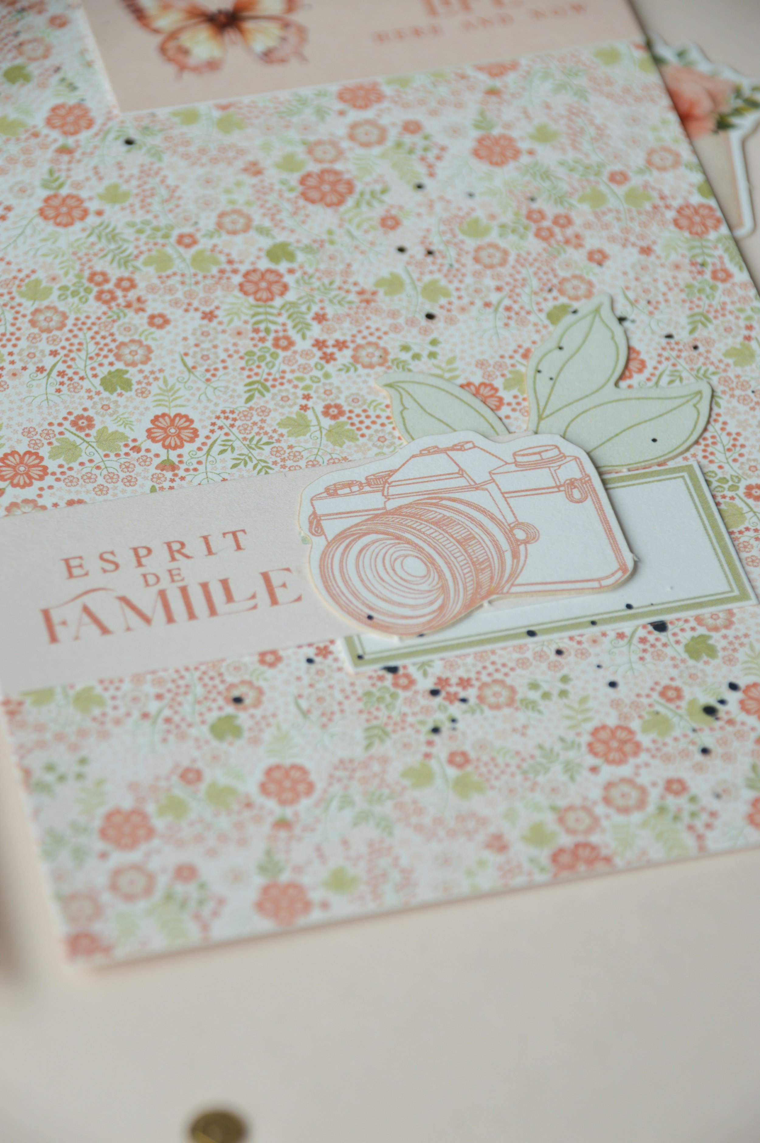 2026-07-S27-Julie-Mini album-20.jpg