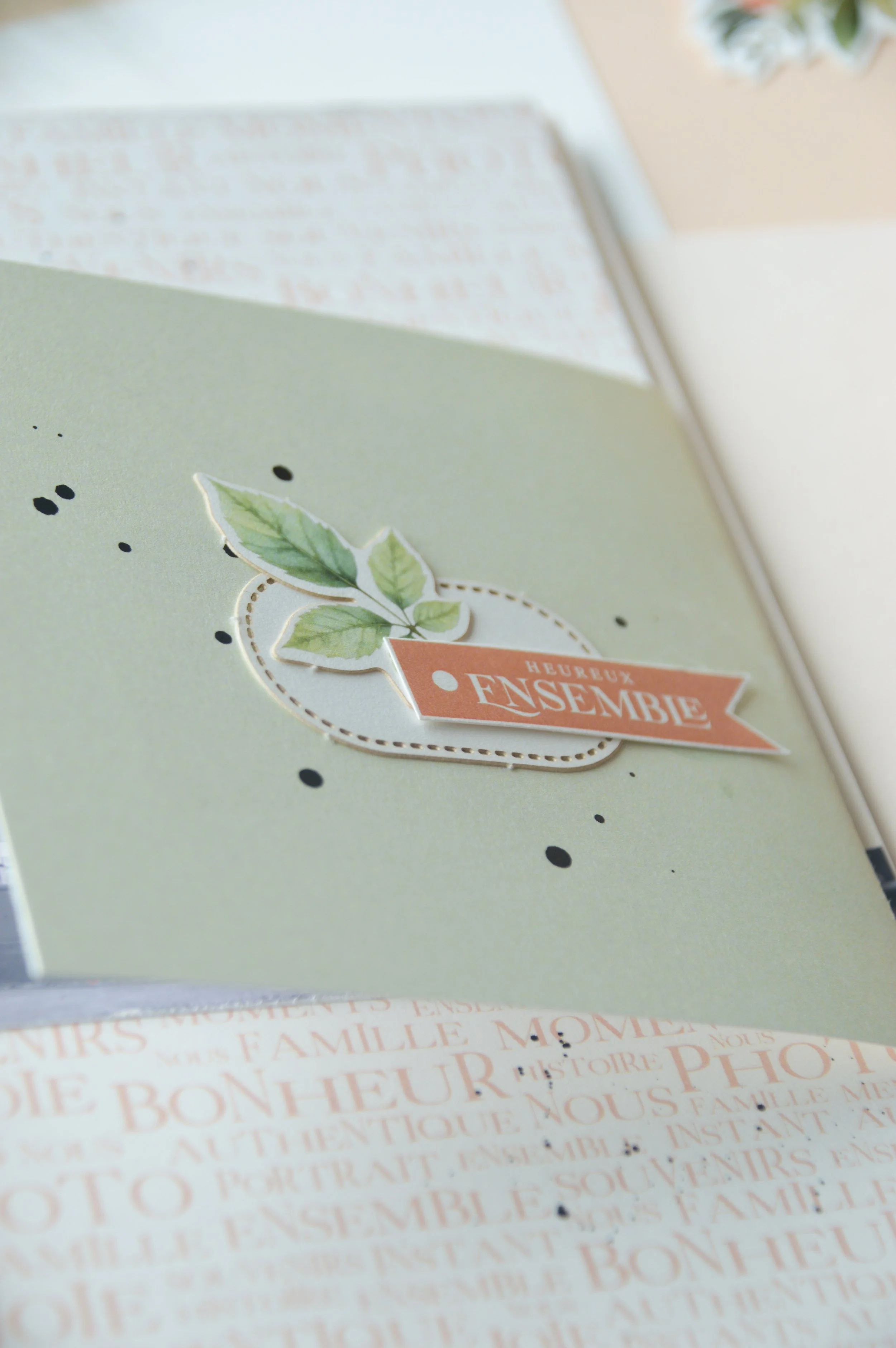 2026-07-S27-Julie-Mini album-06.jpg