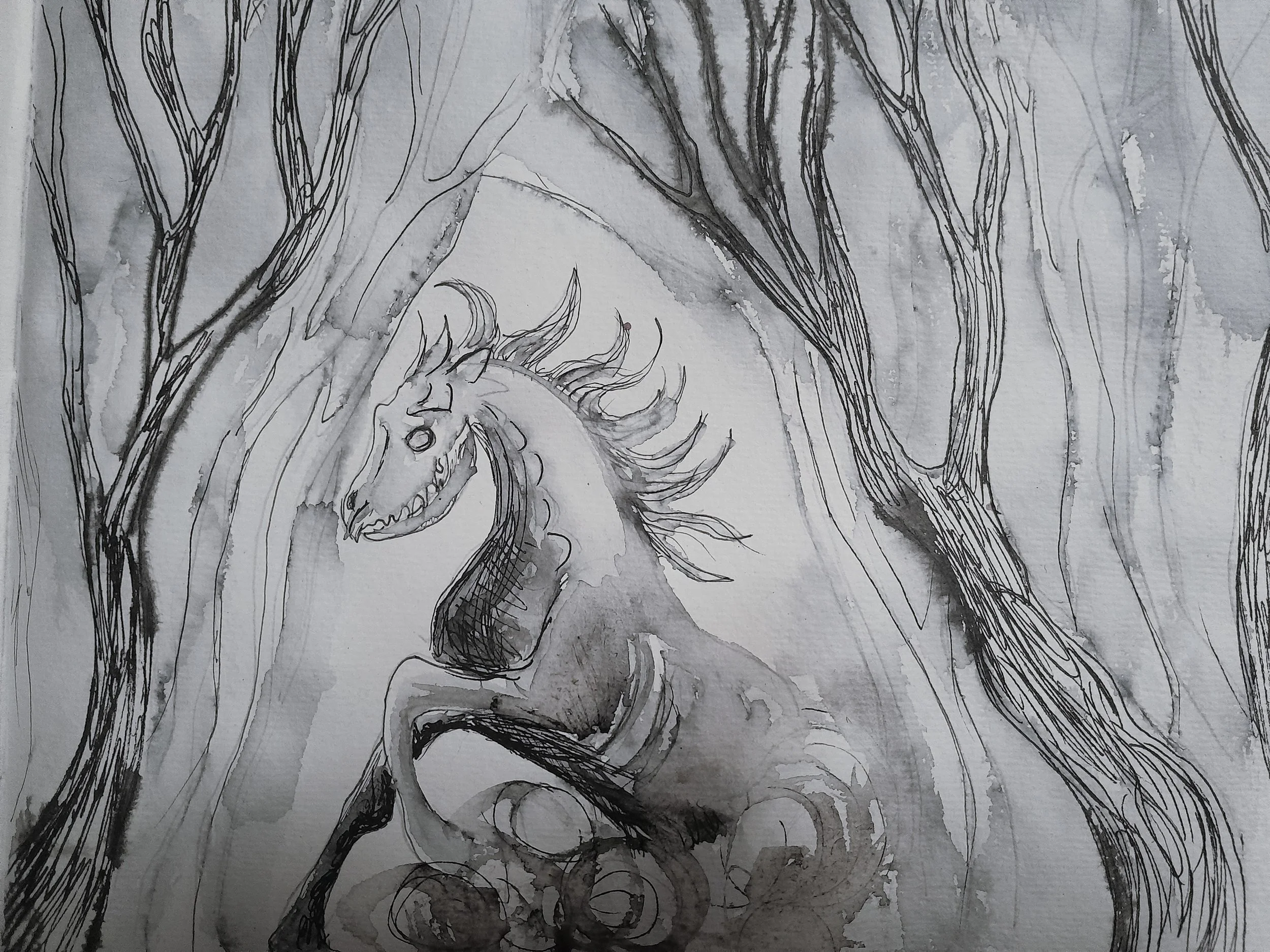 'Puca'
Hand painted ink & watercolour - finished digitally