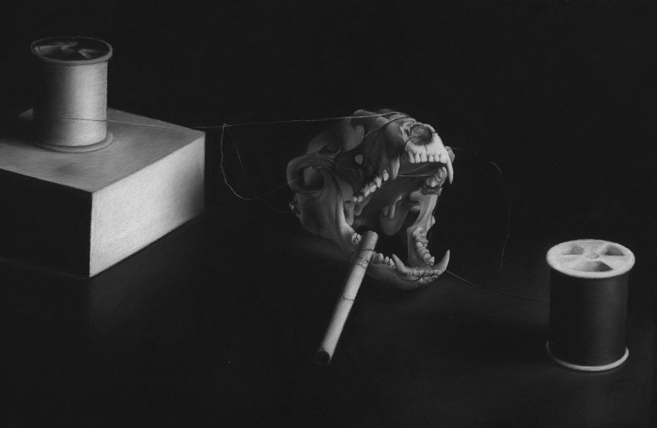 The Difficulties of Flossing