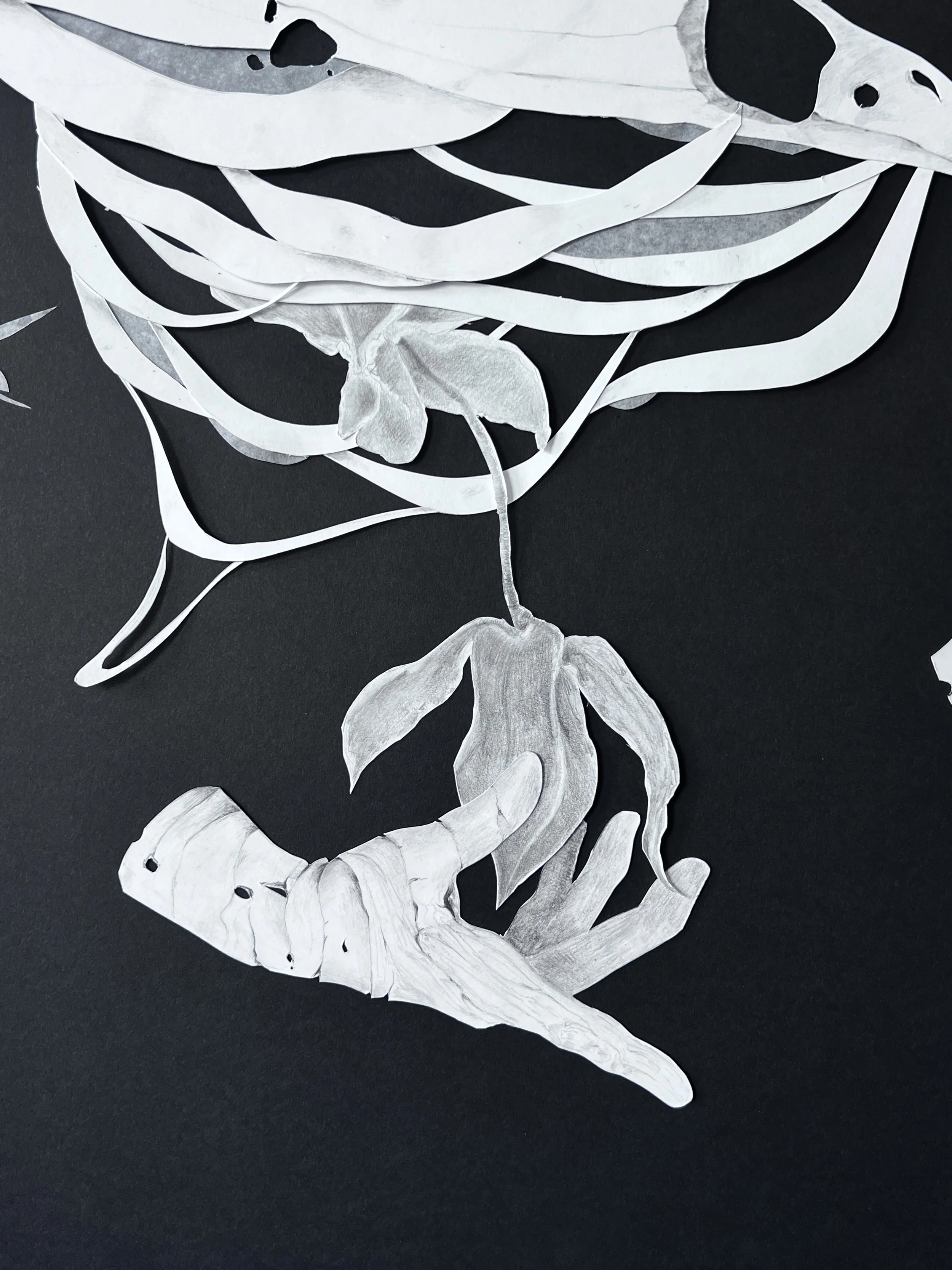 Psychic Blight (Detail)