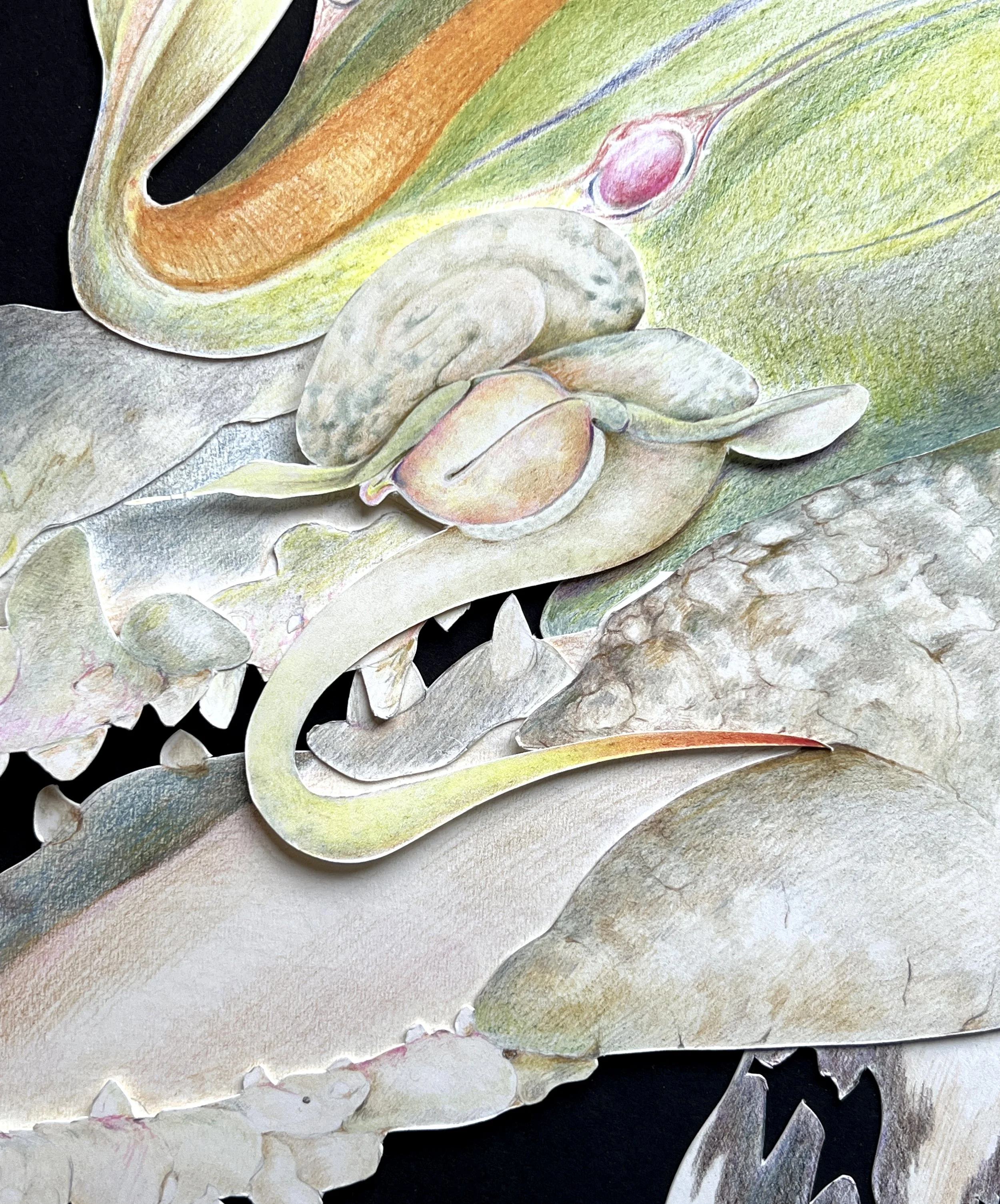 Ammit The Devourer close up 1