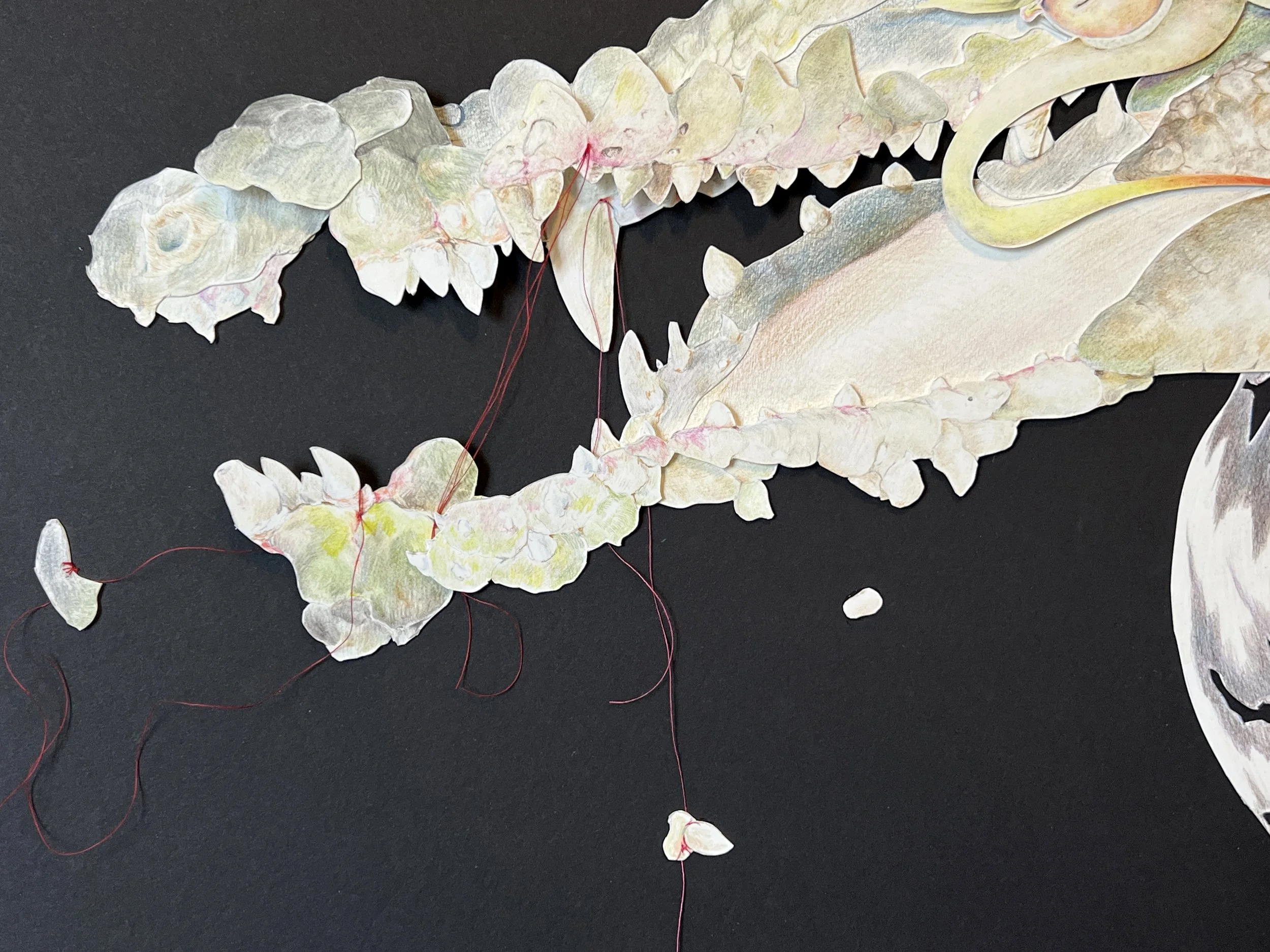 Ammit the Devourer close up 2