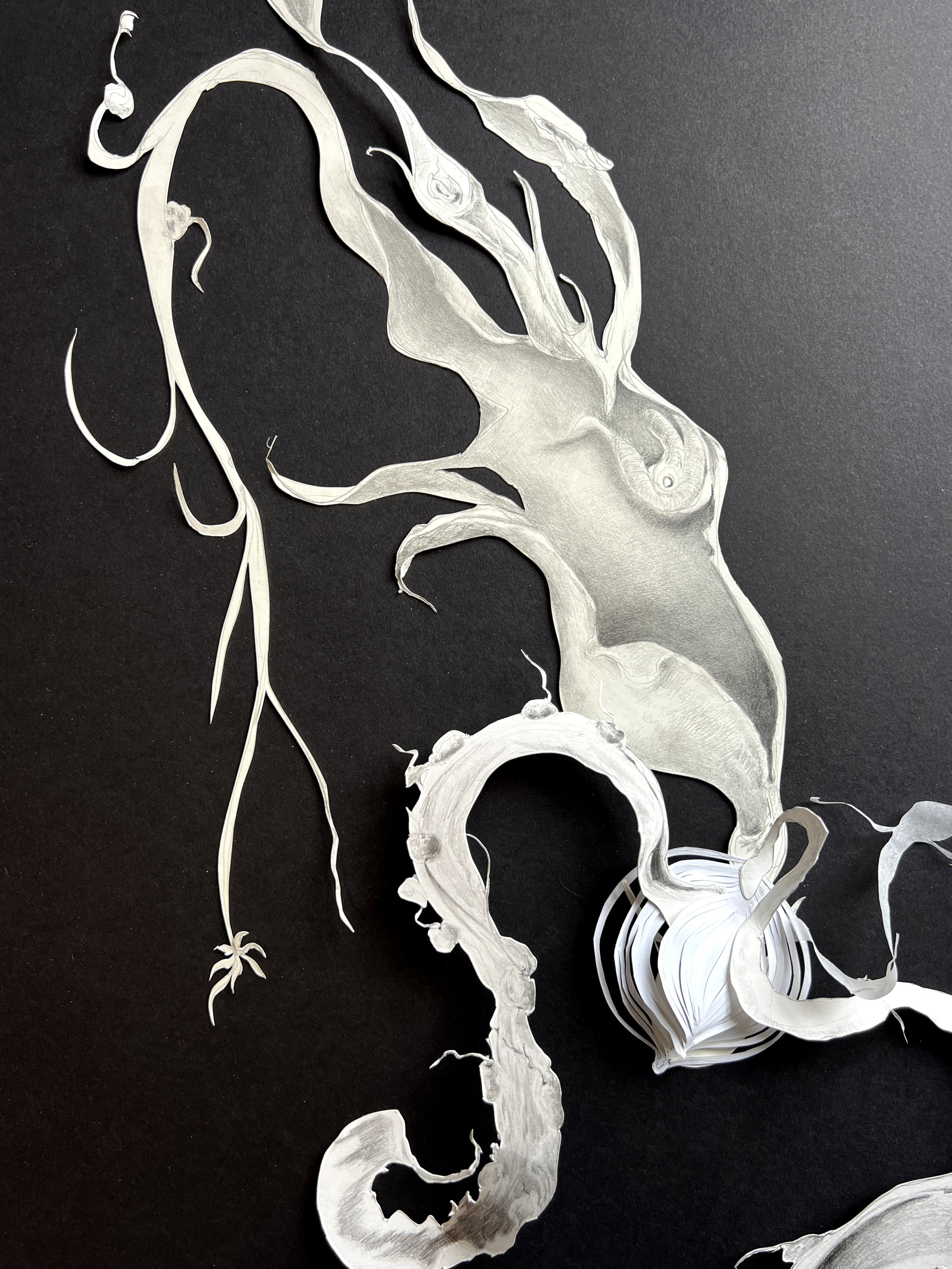 Unused Onion close up