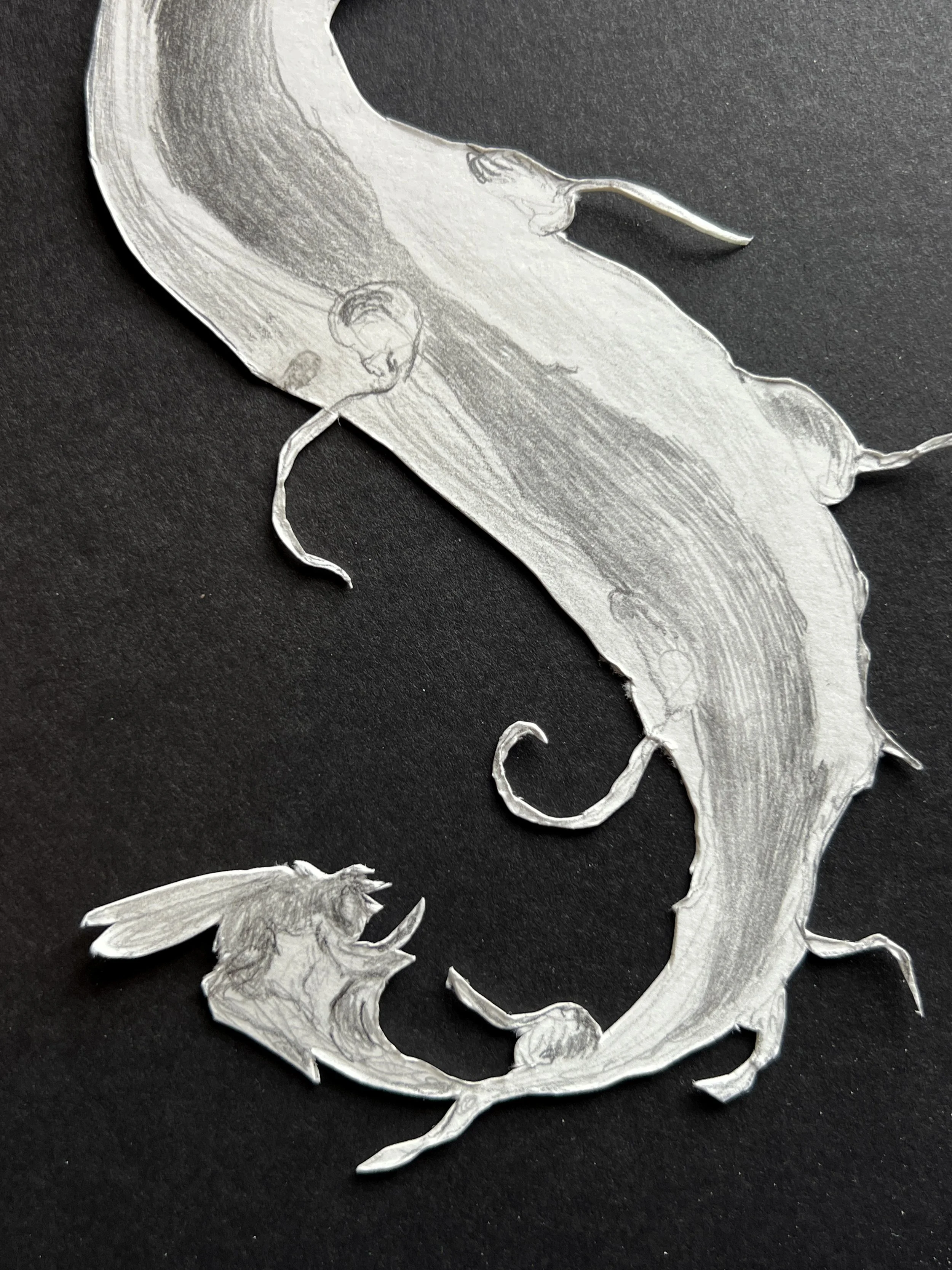 Unused onion closeup 3