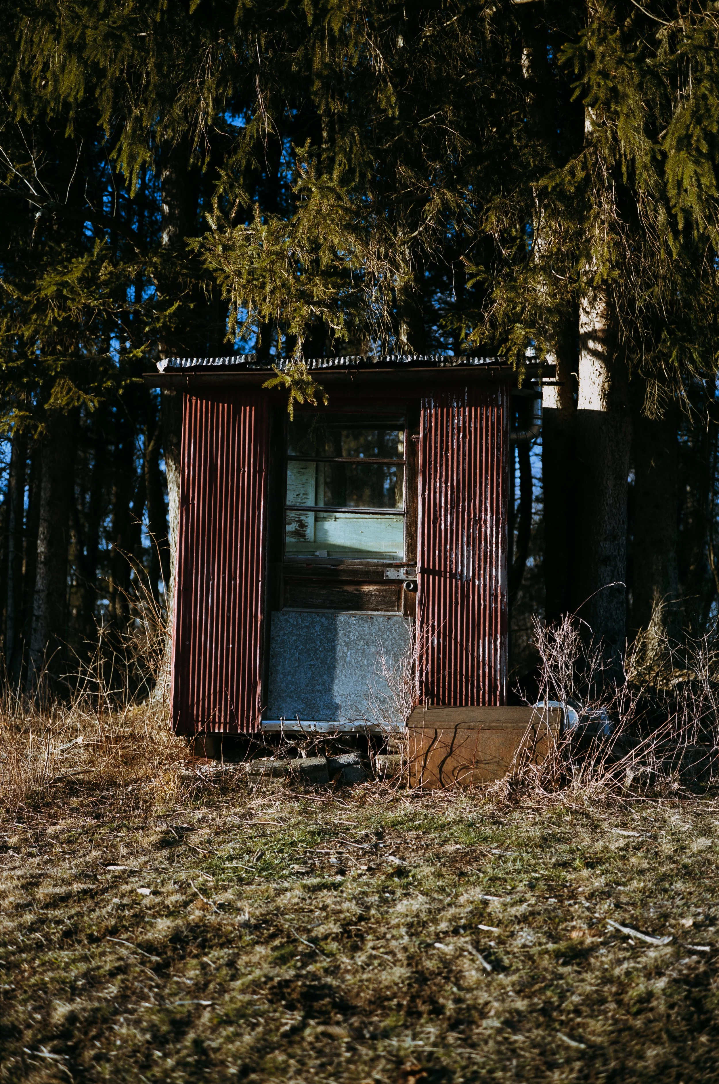 resized-4.jpg