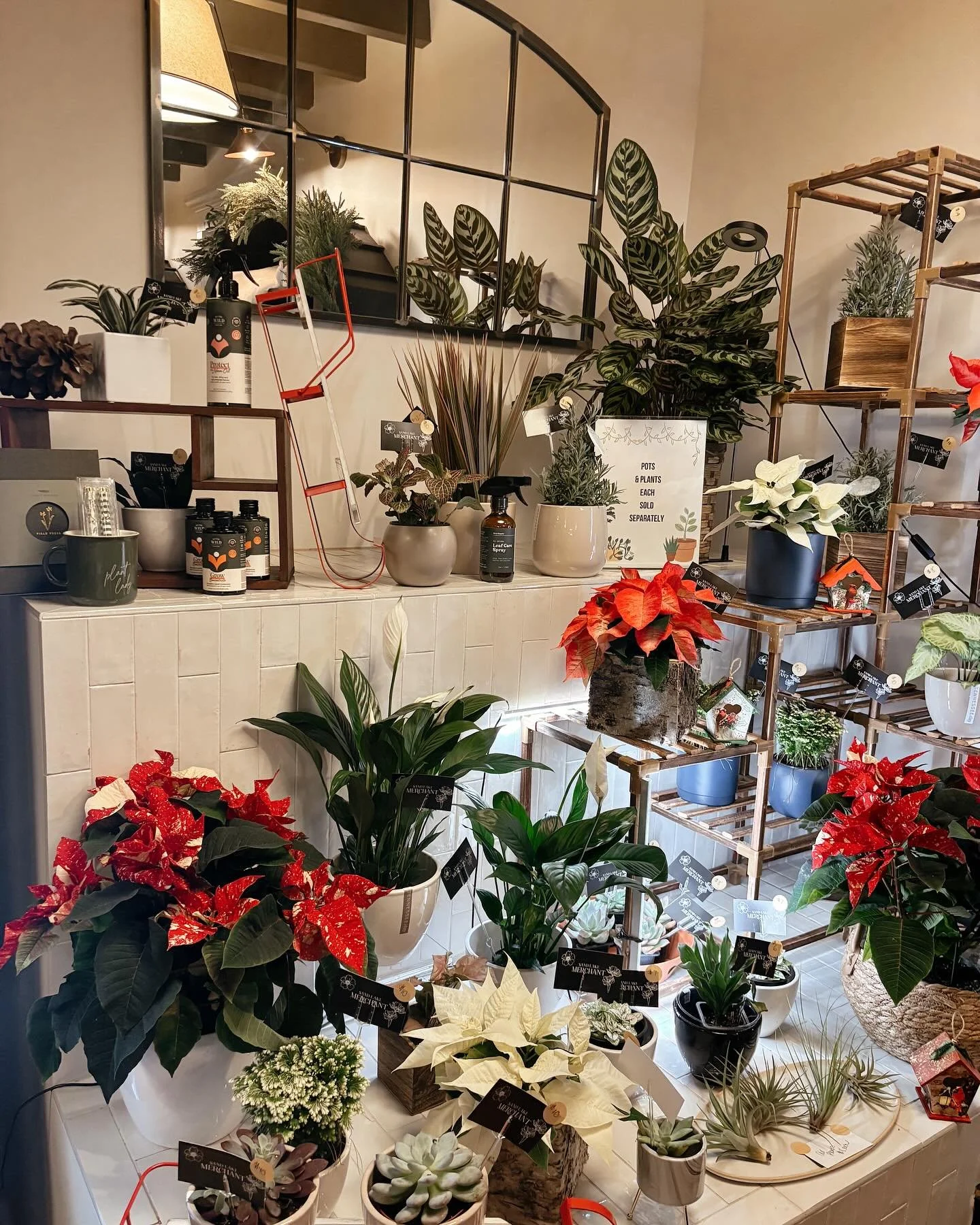 New festive plants &amp; fresh blooms restocked in-store! The perfect festive gift for all occasions this time of year! 💝
We also have gift cards available for purchase in-store and e-cards online&hellip; tap the link in bio!

See you at the Merchan