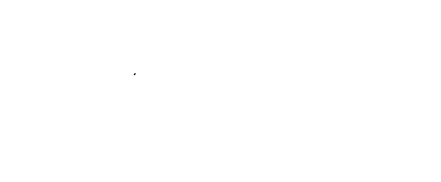 Sand Lake Merchant