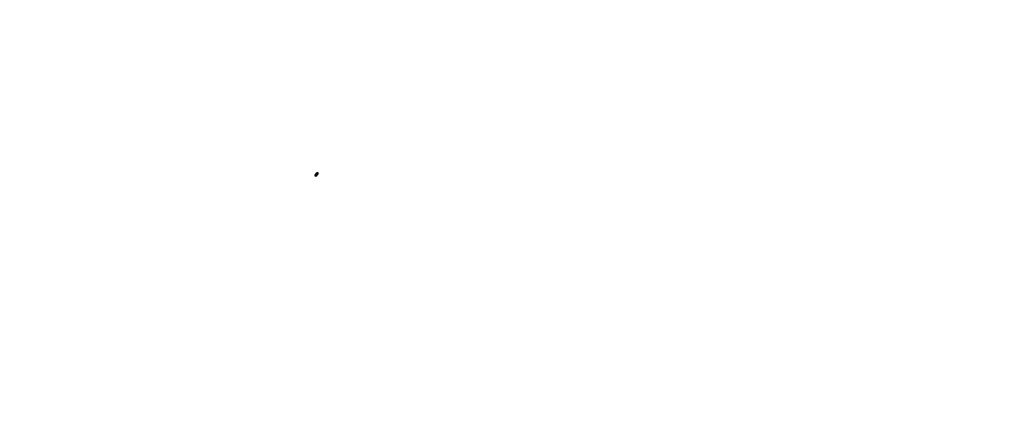 Sand Lake Merchant