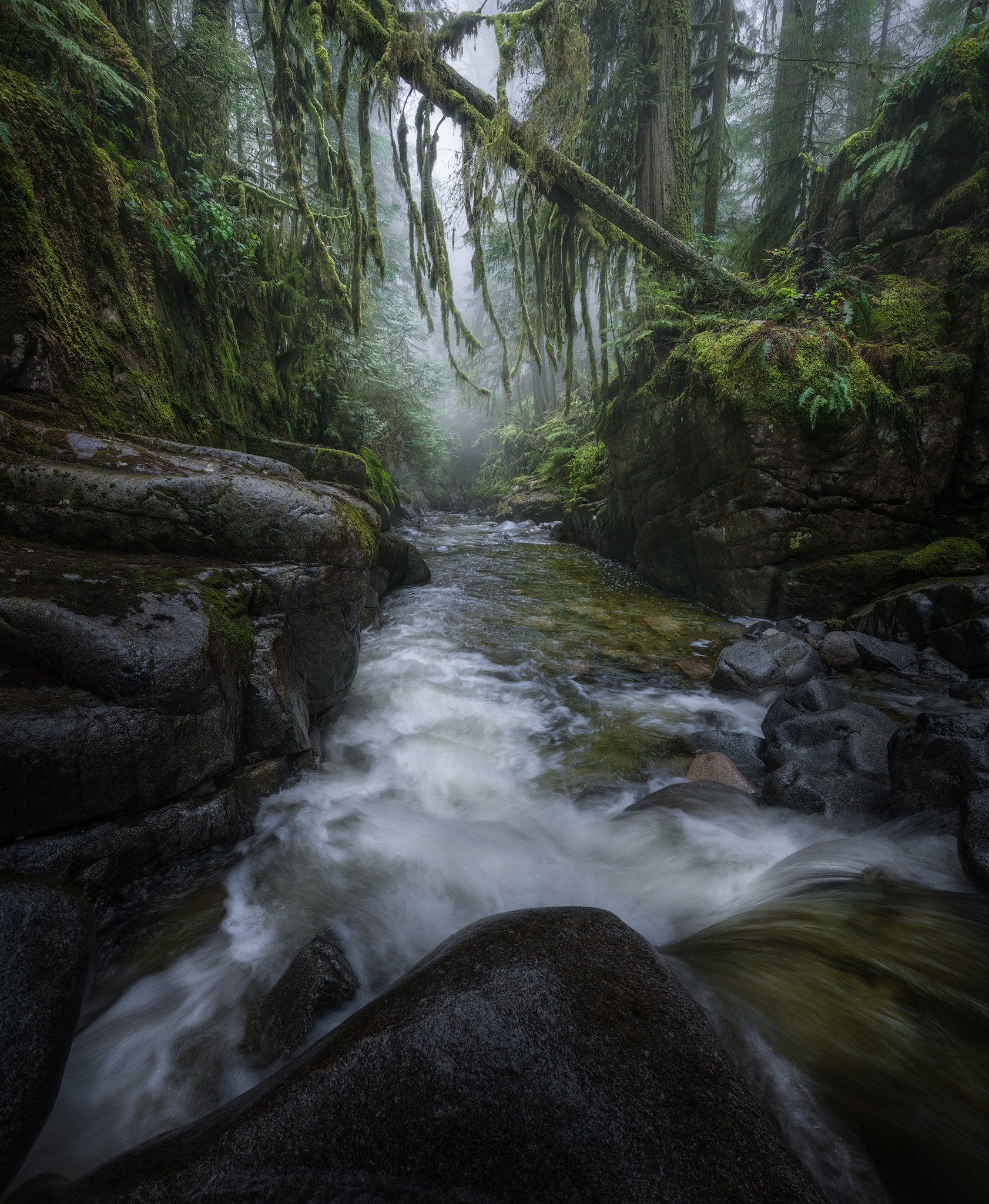 2022-02-CypressFalls-Canyon#2-Danglemoss-2048px.jpg