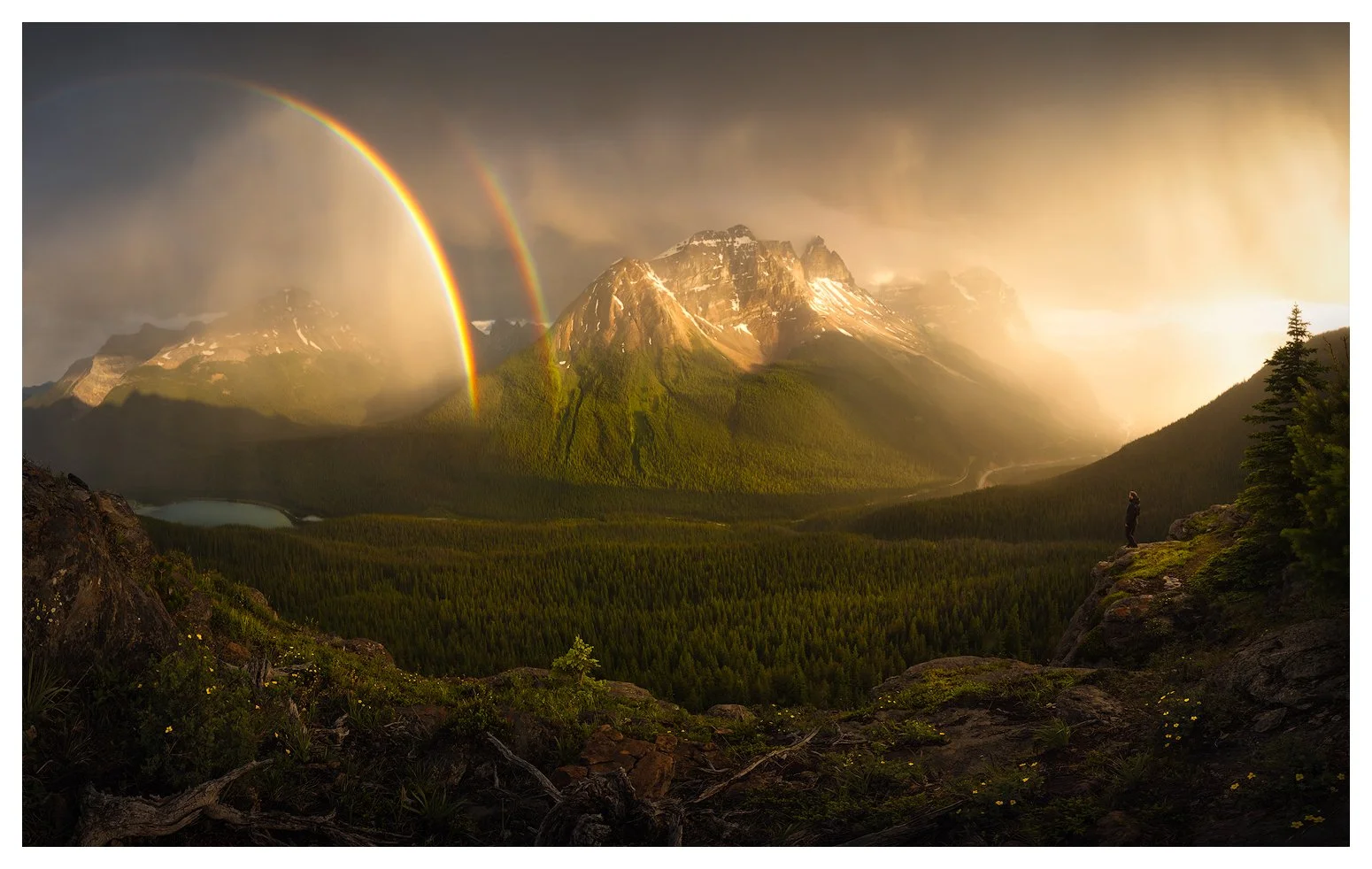 2020-07-Yoho-Paget-Rainbows-1500px white.jpg