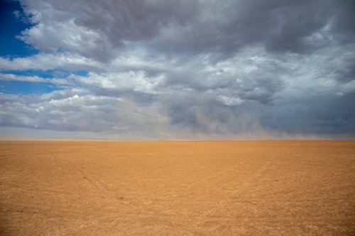 IMG_6802.jpg