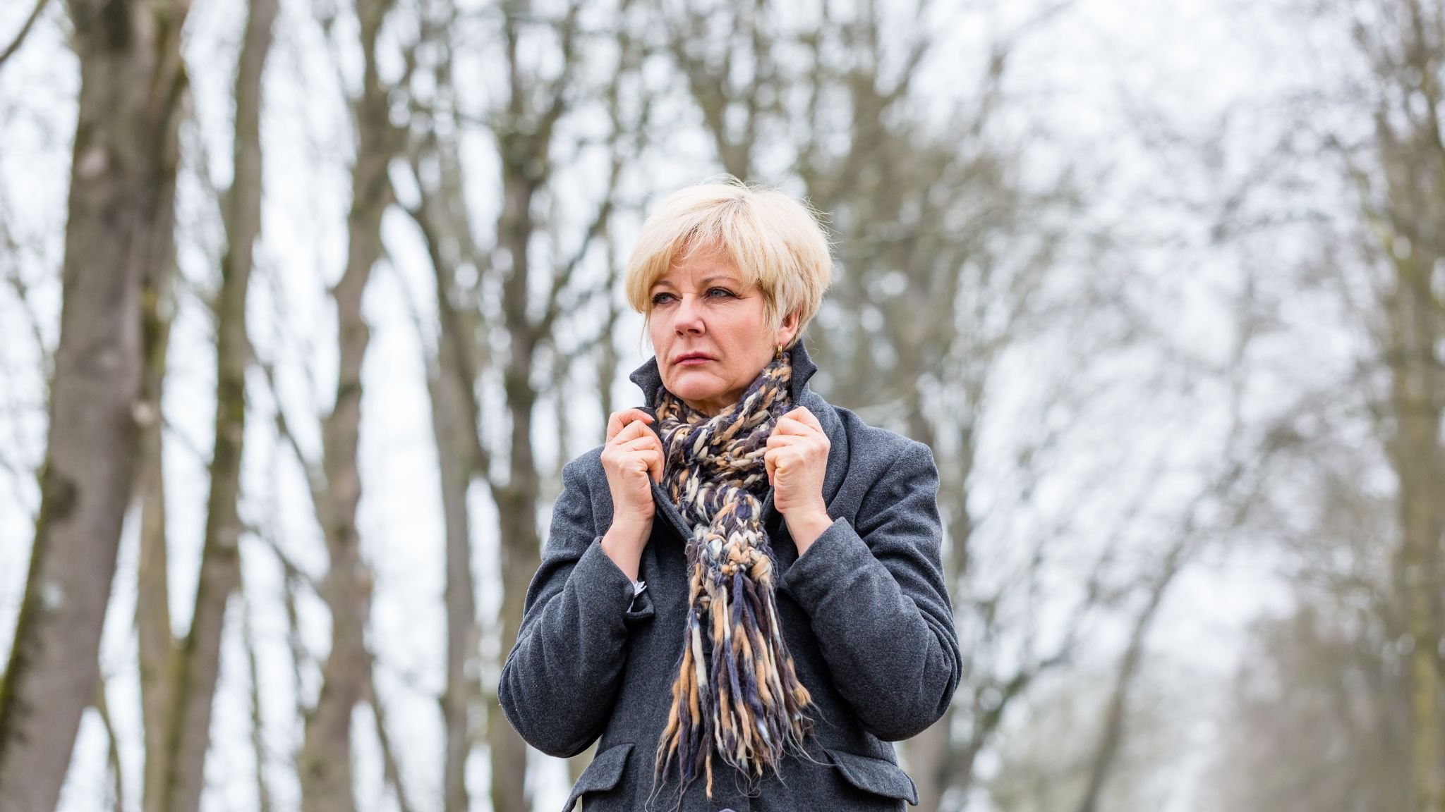 Menopause & Mental Health — Cherry Tree Counselling