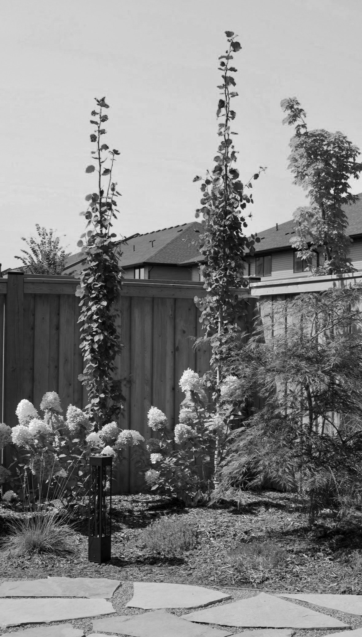 Rea Private Garden