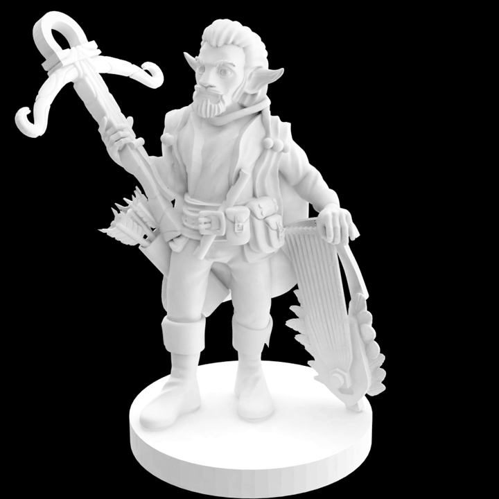 Male_Bard_spin_1080_cropped.gif