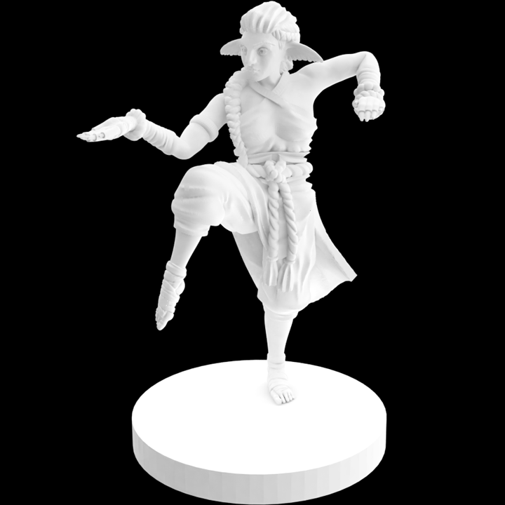 Female_Monk_spin_1080_cropped.gif