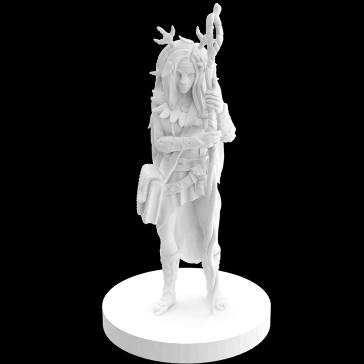 Female_Druid_spin_1080_cropped.gif