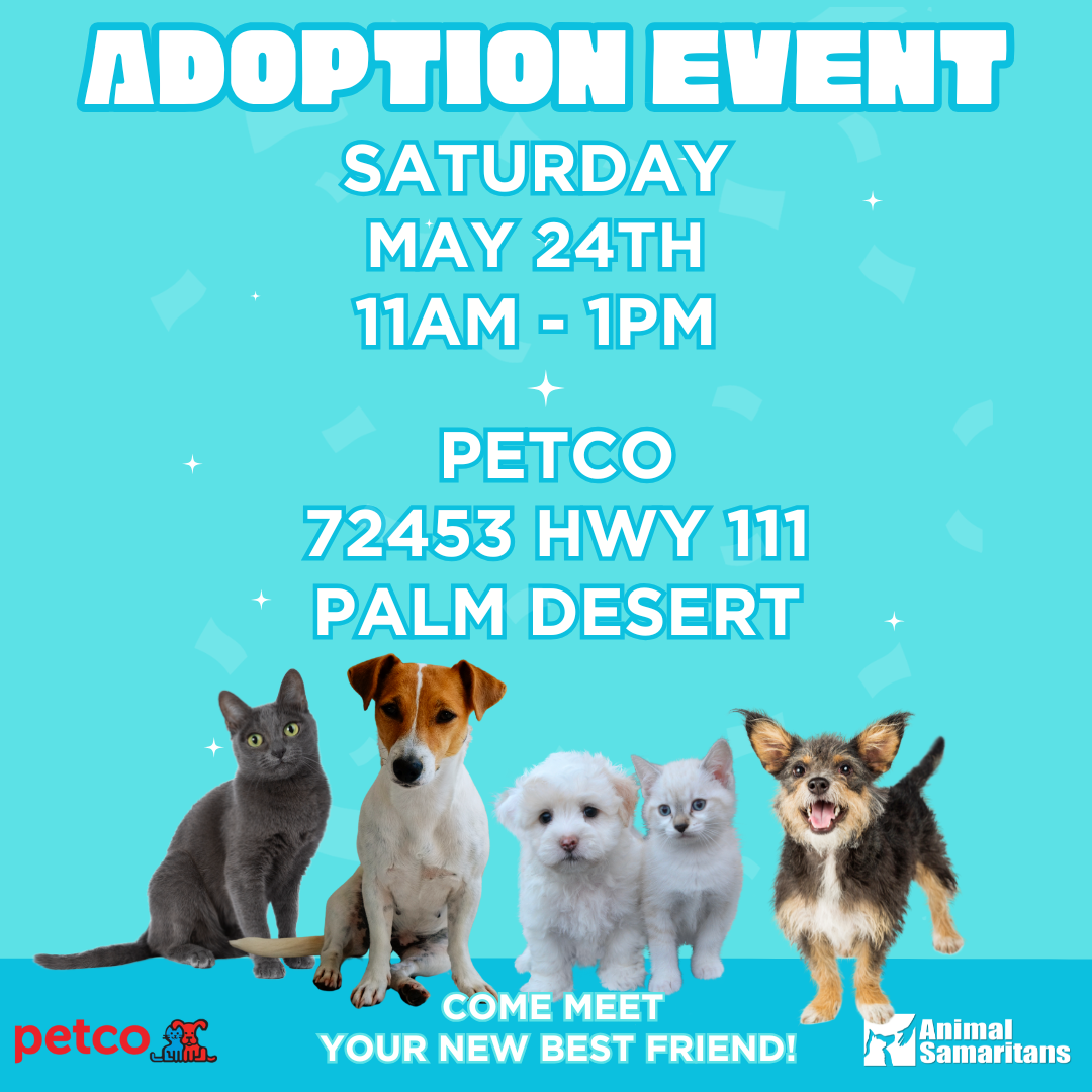 PetCo Adoption Event with Animal Samaritans