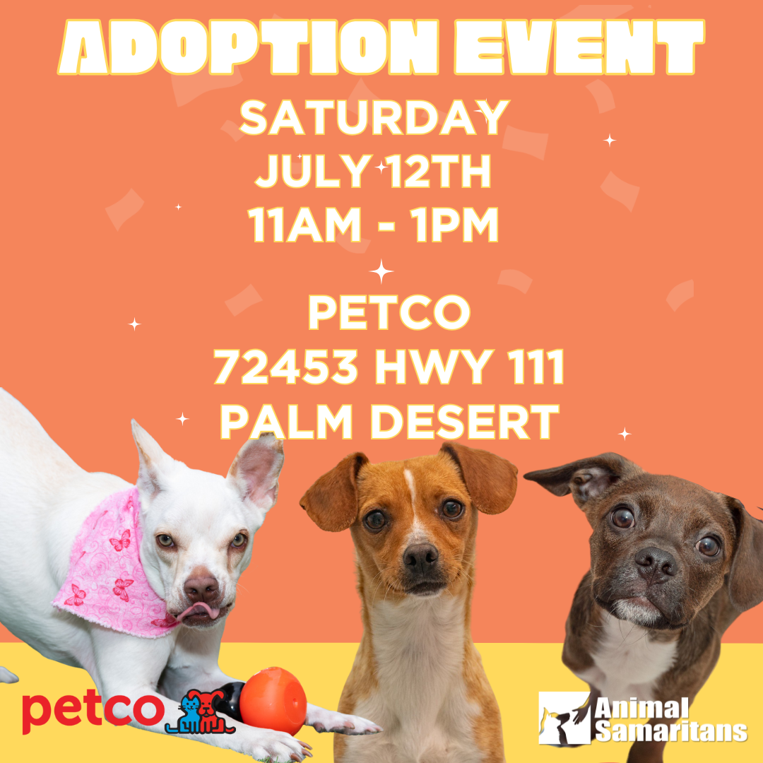 PetCo Adoption Event with Animal Samaritans