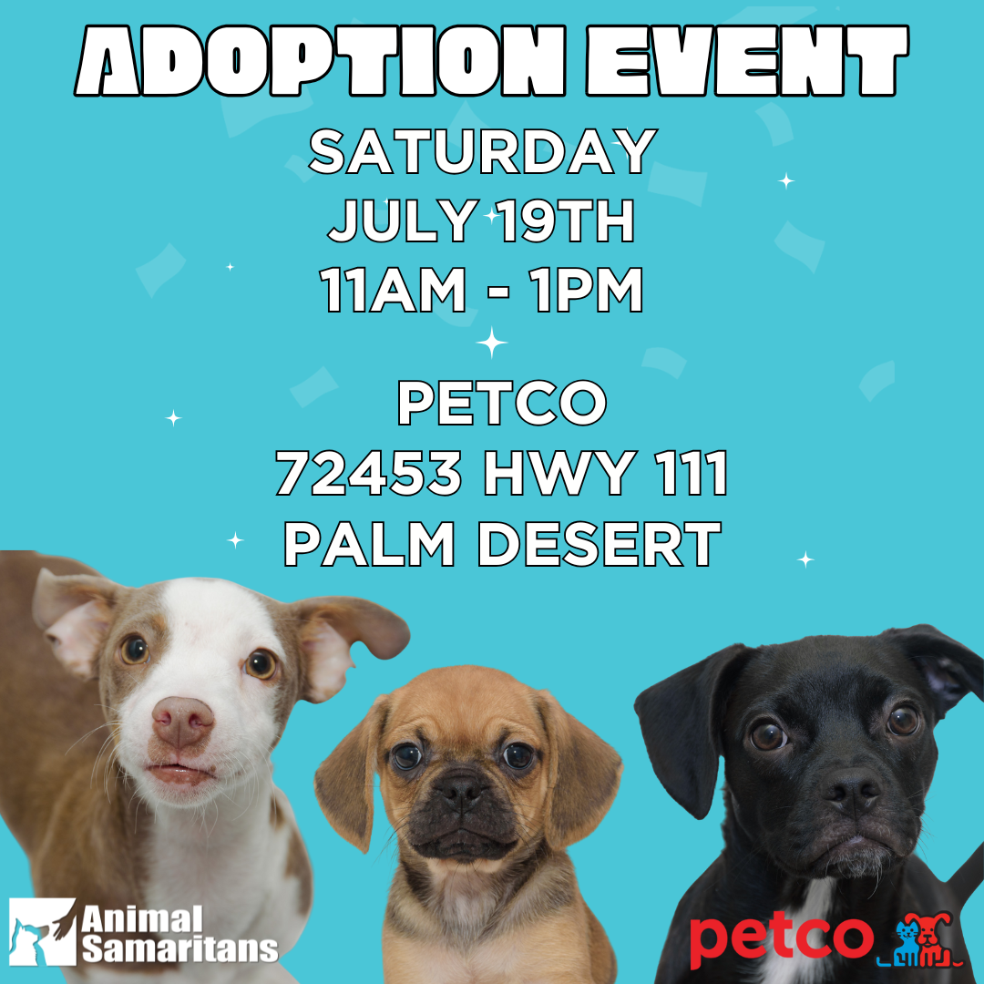 PetCo Adoption Event with Animal Samaritans