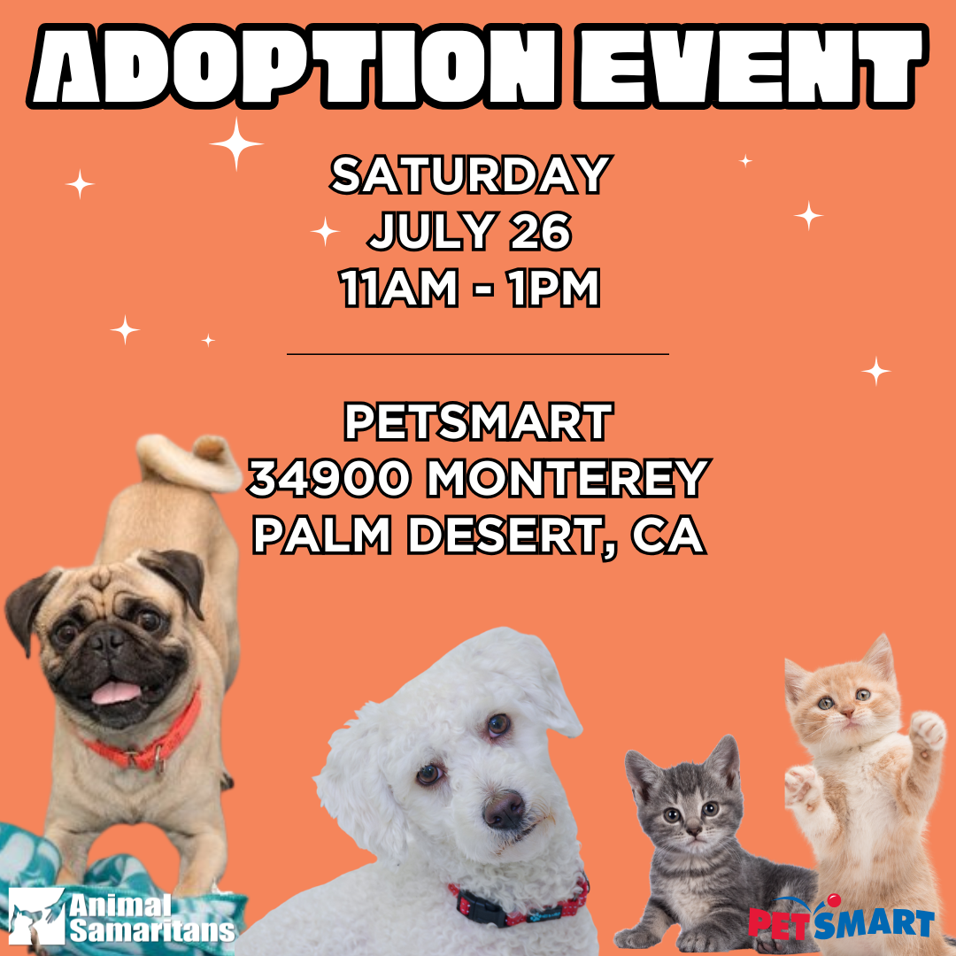 PetSmart Adoption Event with Animal Samaritans