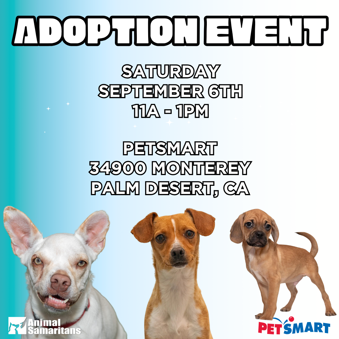 PetSmart Adoption Event with Animal Samaritans