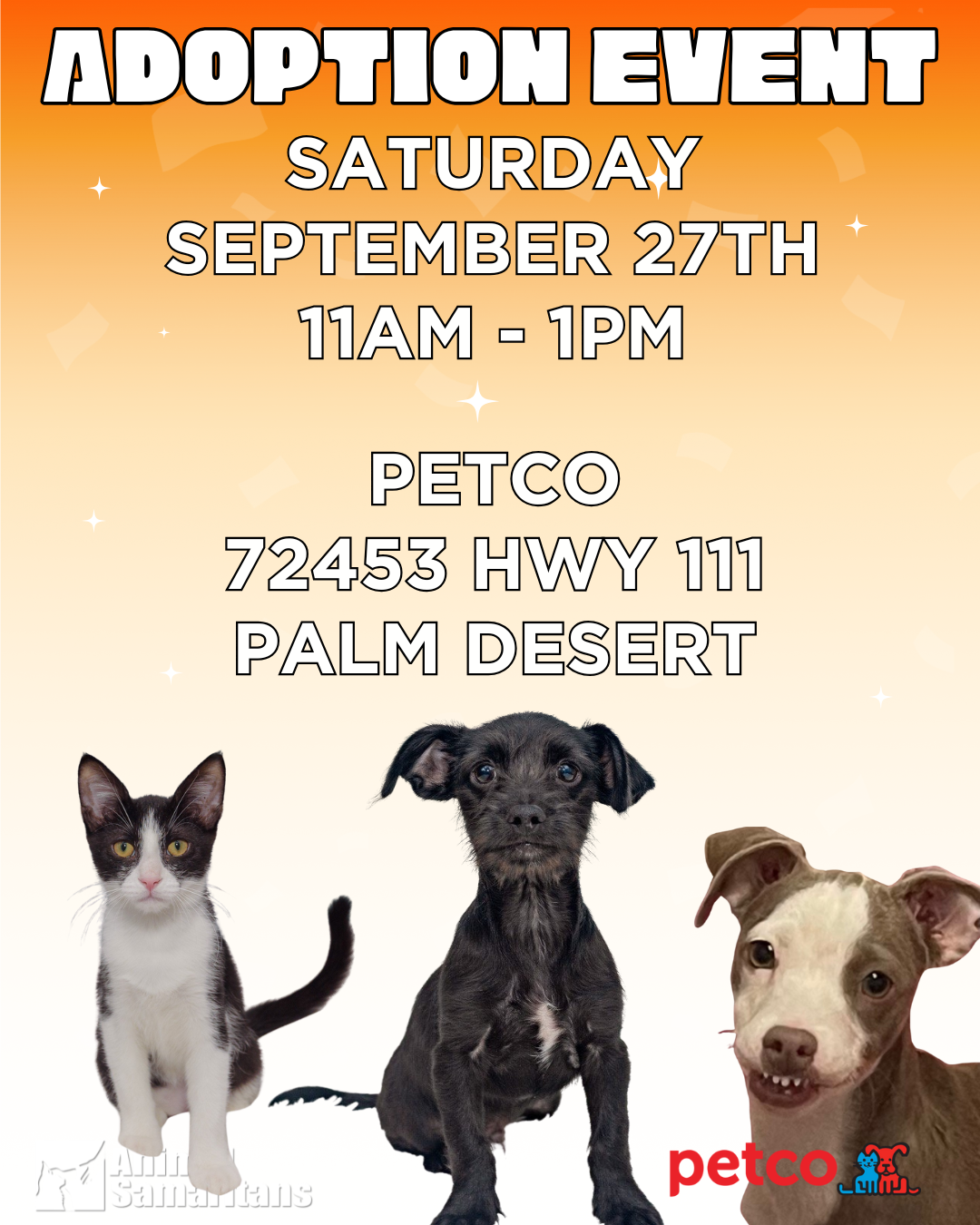 PetCo Adoption Event with Animal Samaritans