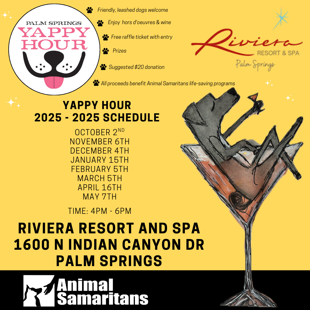 Yappy Hour at Riviera Resort and Spa Palm Springs