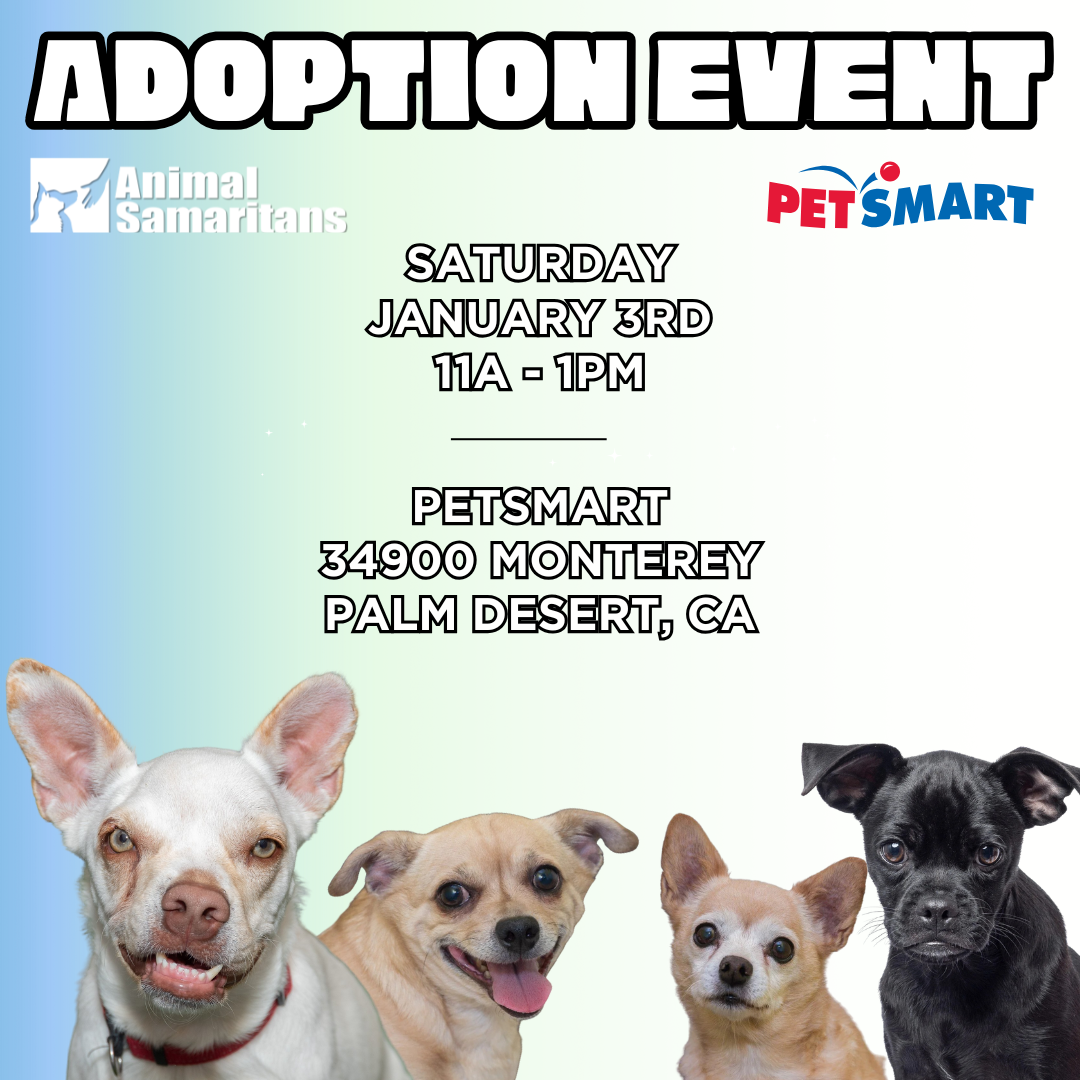 PetSmart Adoption Event with Animal Samaritans 