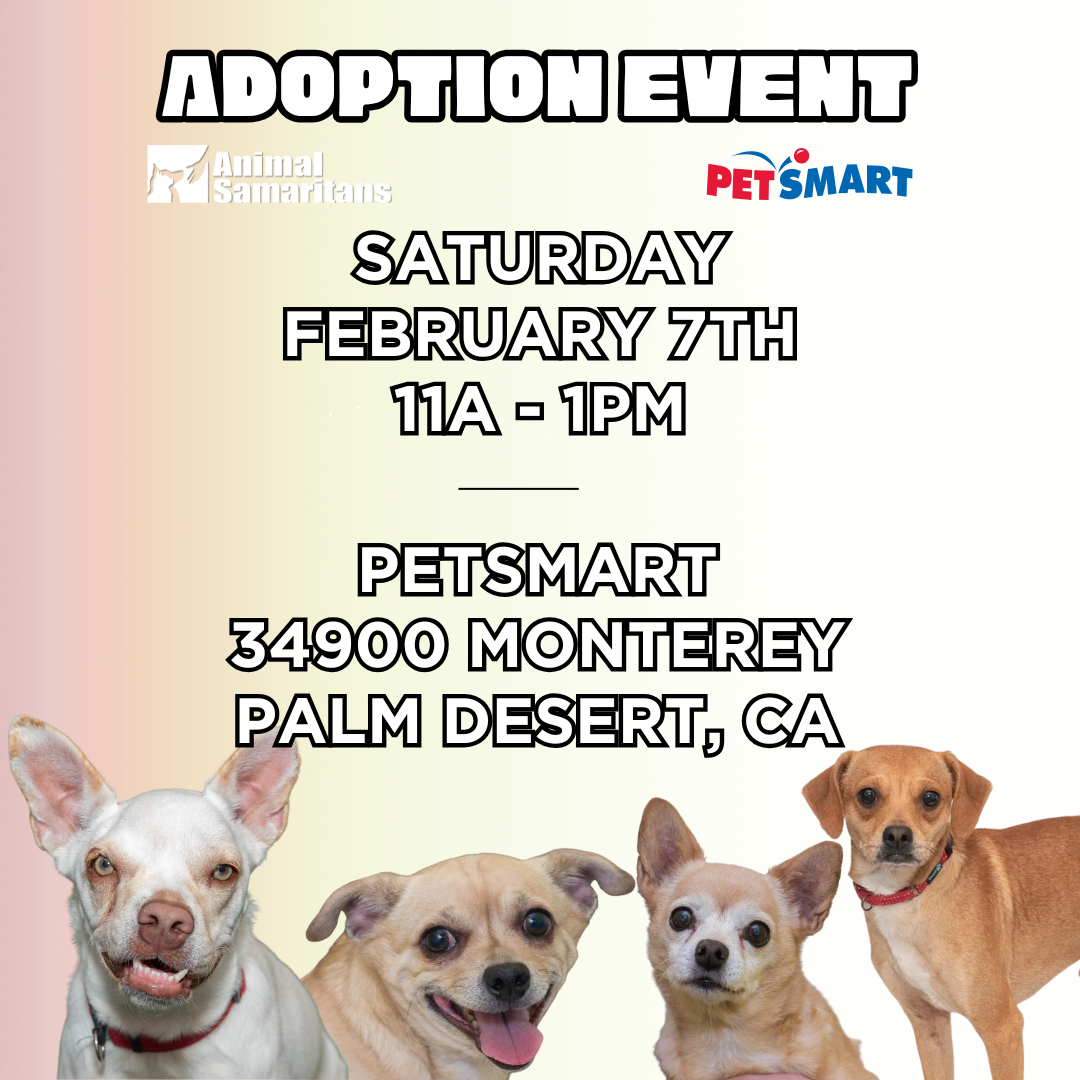 PetSmart Adoption Event with Animal Samaritans 