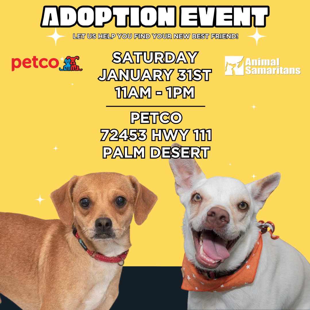 PetCo Adoption Event with Animal Samaritans