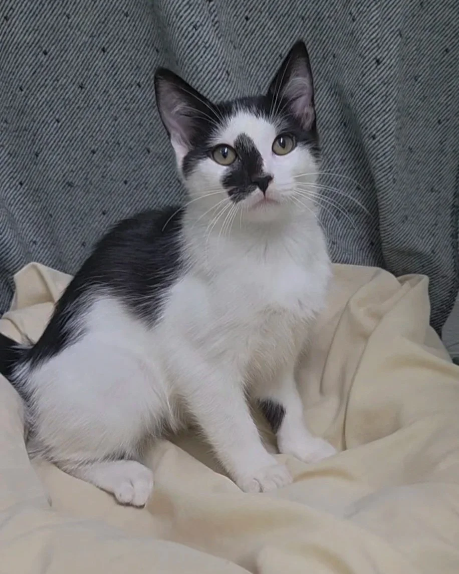 Megan/Megan/13 Weeks Approx.