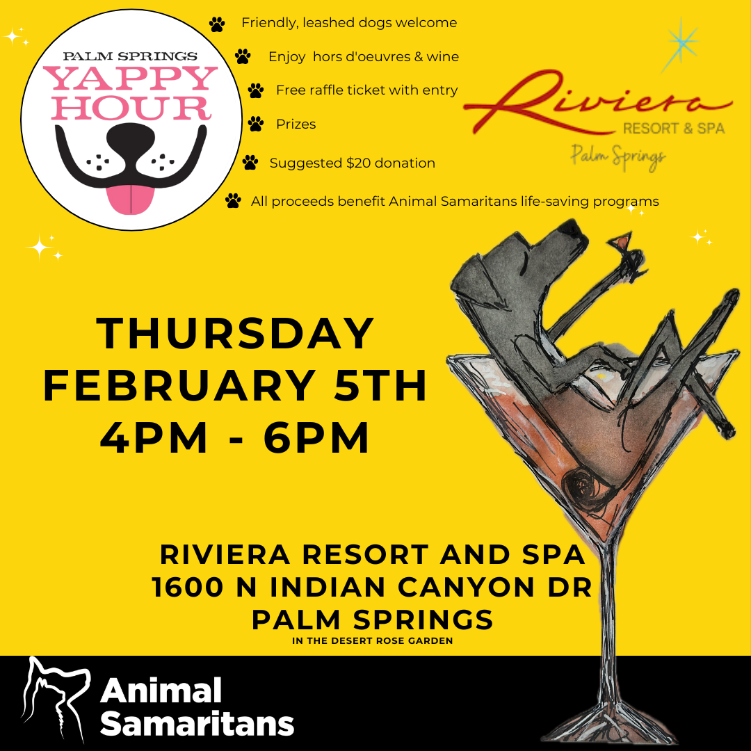 Yappy Hour at Riviera Resort and Spa Palm Springs