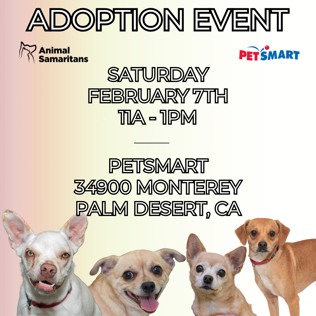 PetSmart Adoption Event with Animal Samaritans 