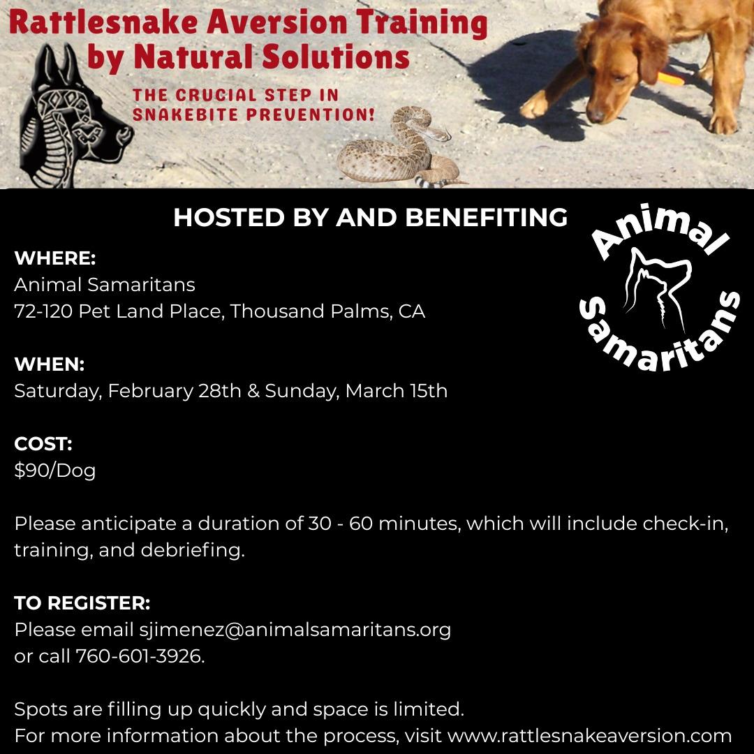Rattlesnake  Aversion Training for Dogs by Natural Solutions (Copy)
