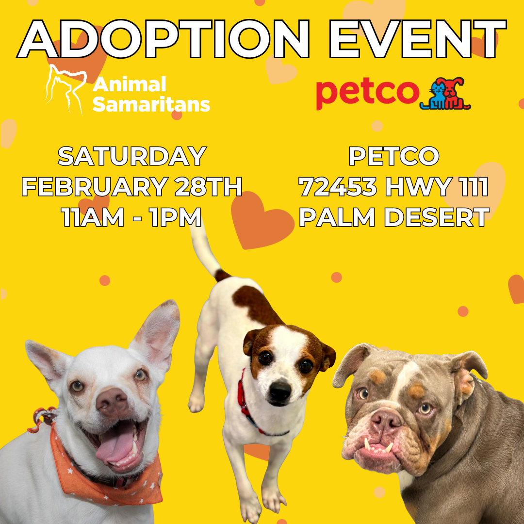 PetCo Adoption Event with Animal Samaritans