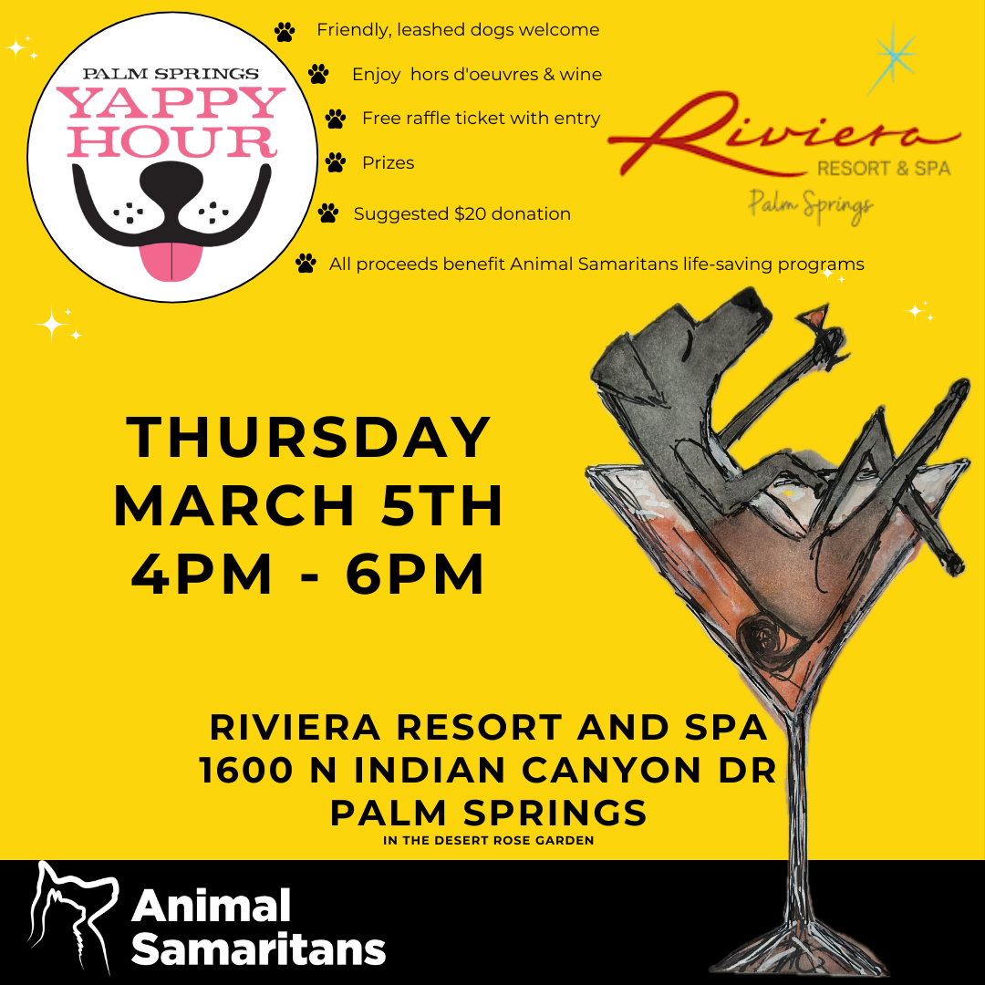 Yappy Hour at Riviera Resort and Spa Palm Springs