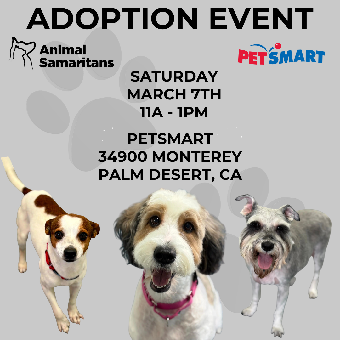 PetSmart Adoption Event with Animal Samaritans 