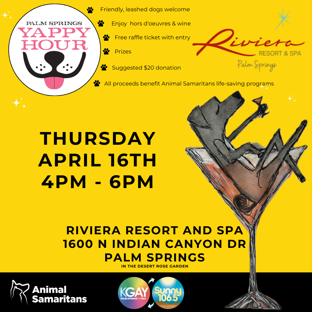 Yappy Hour at Riviera Resort and Spa Palm Springs