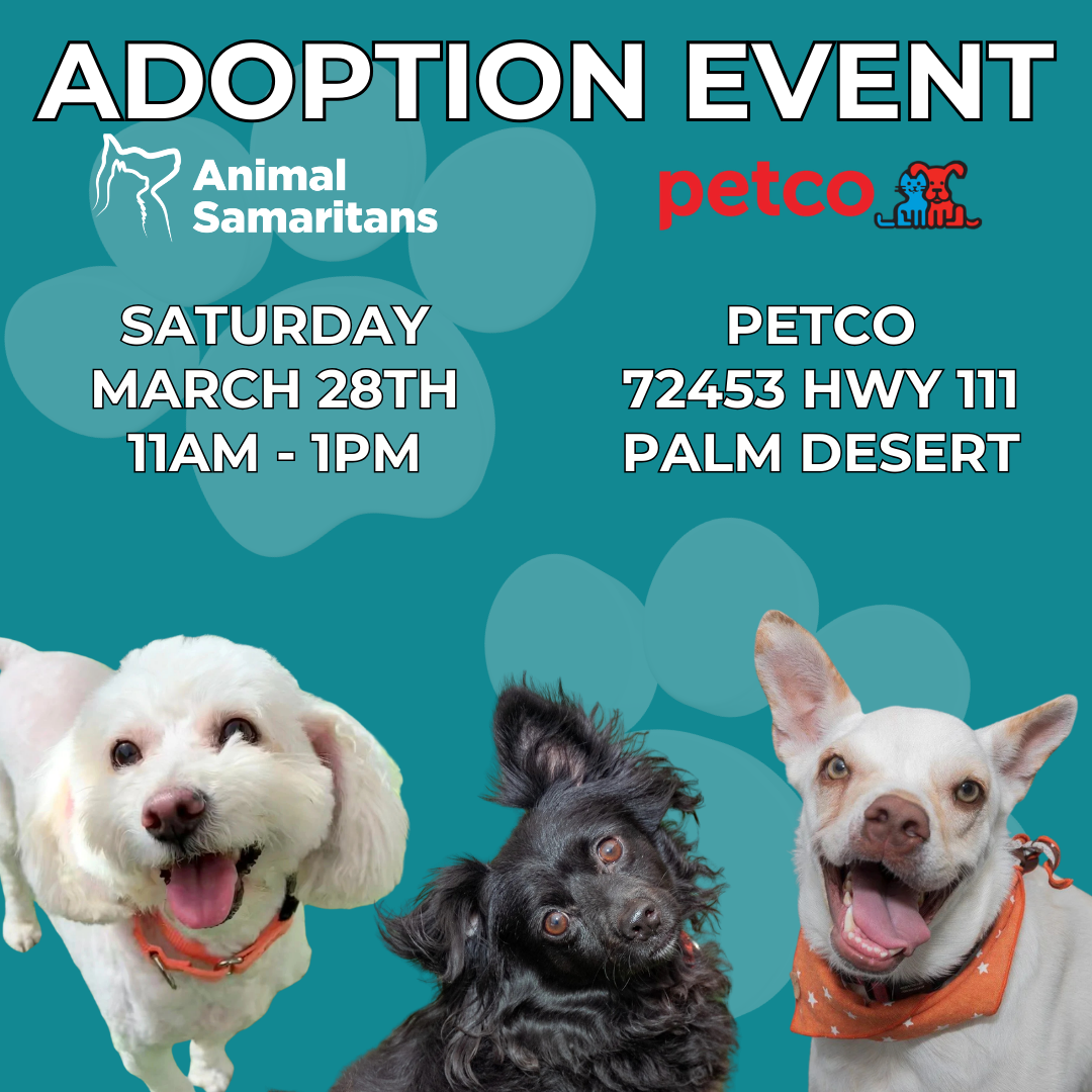 PetCo Adoption Event with Animal Samaritans